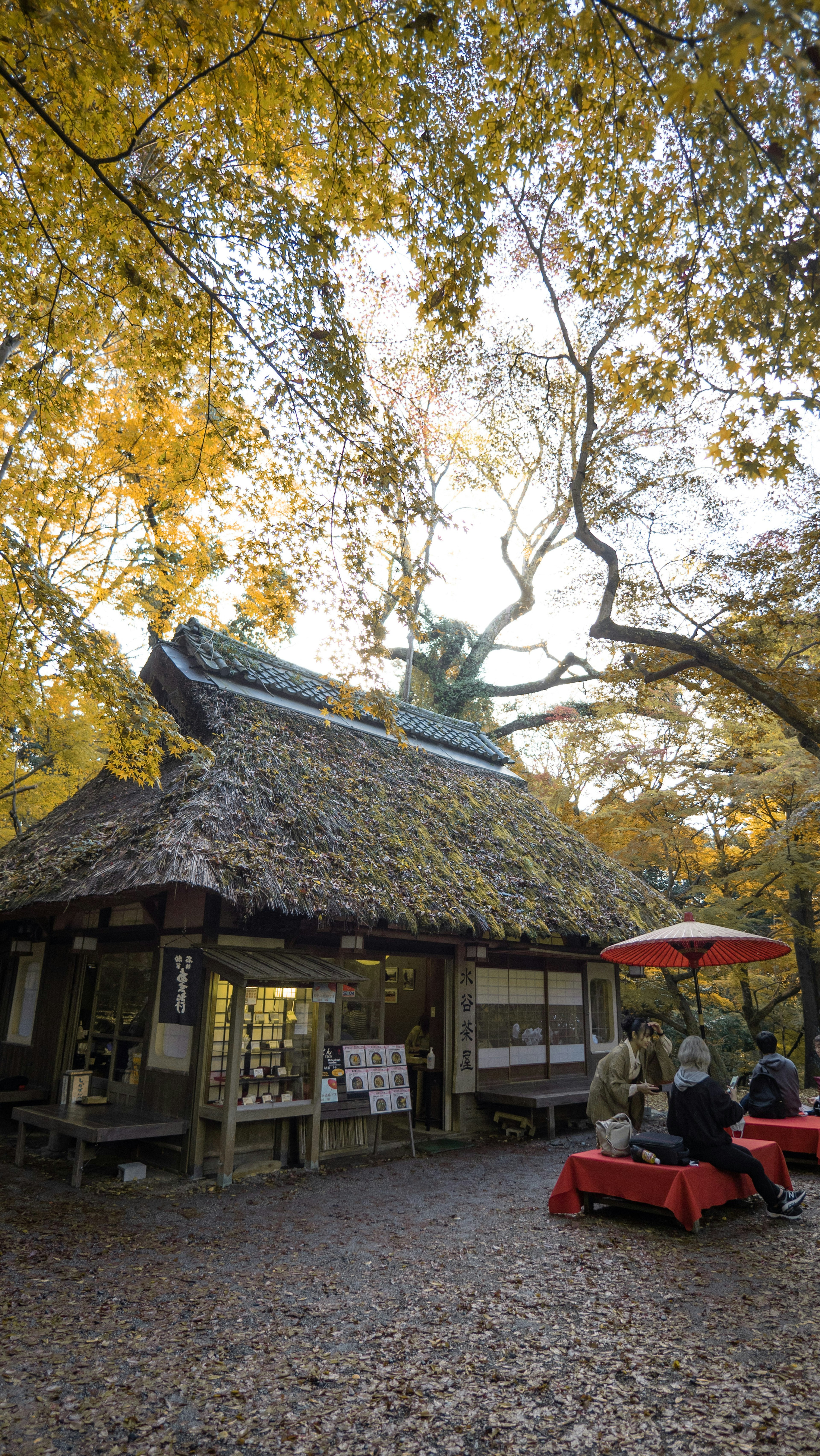 秋の紅葉に囲まれた伝統的な日本の茅葺き屋根の建物と赤いテーブル