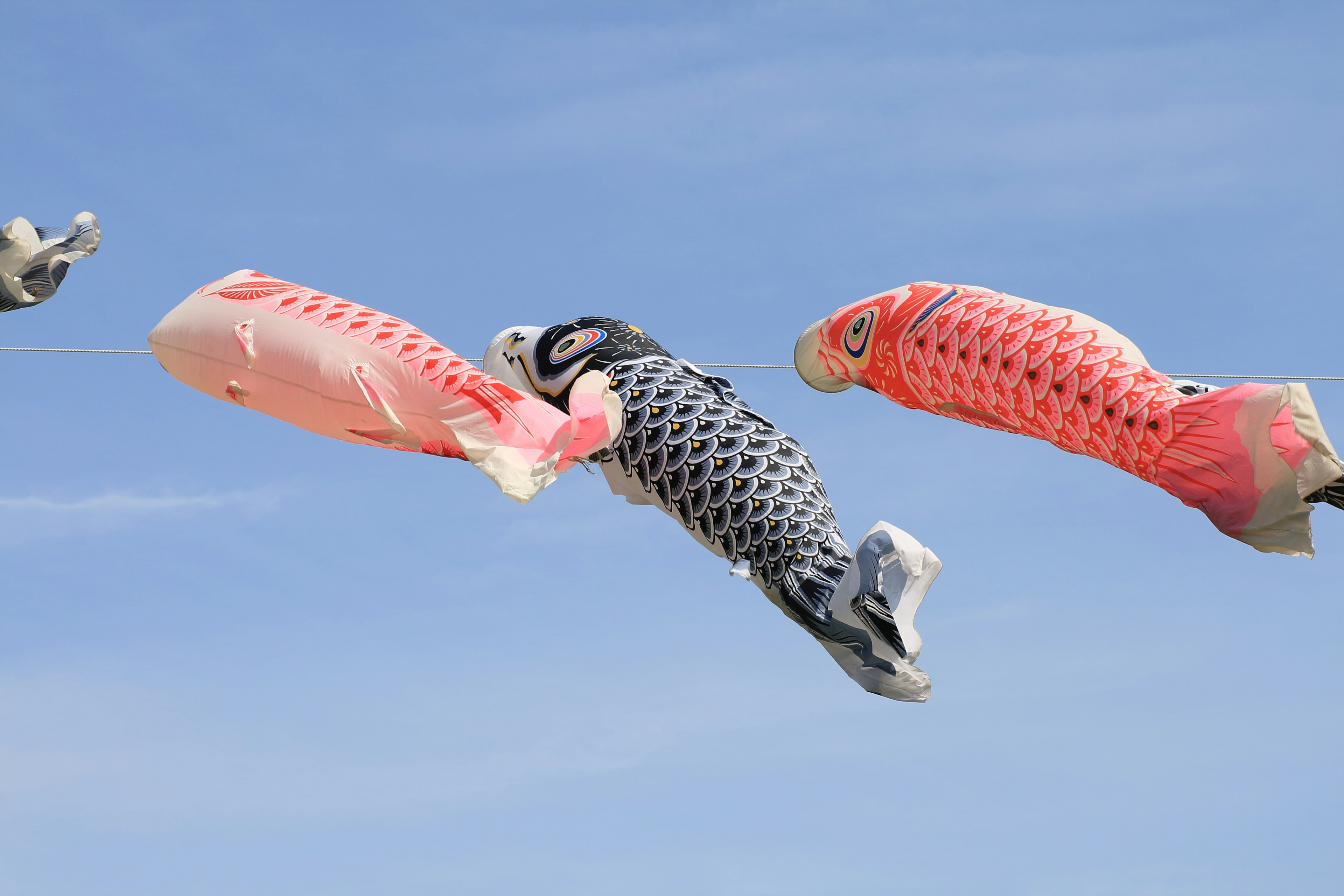 Drapeaux de koinobori nageant dans le ciel bleu