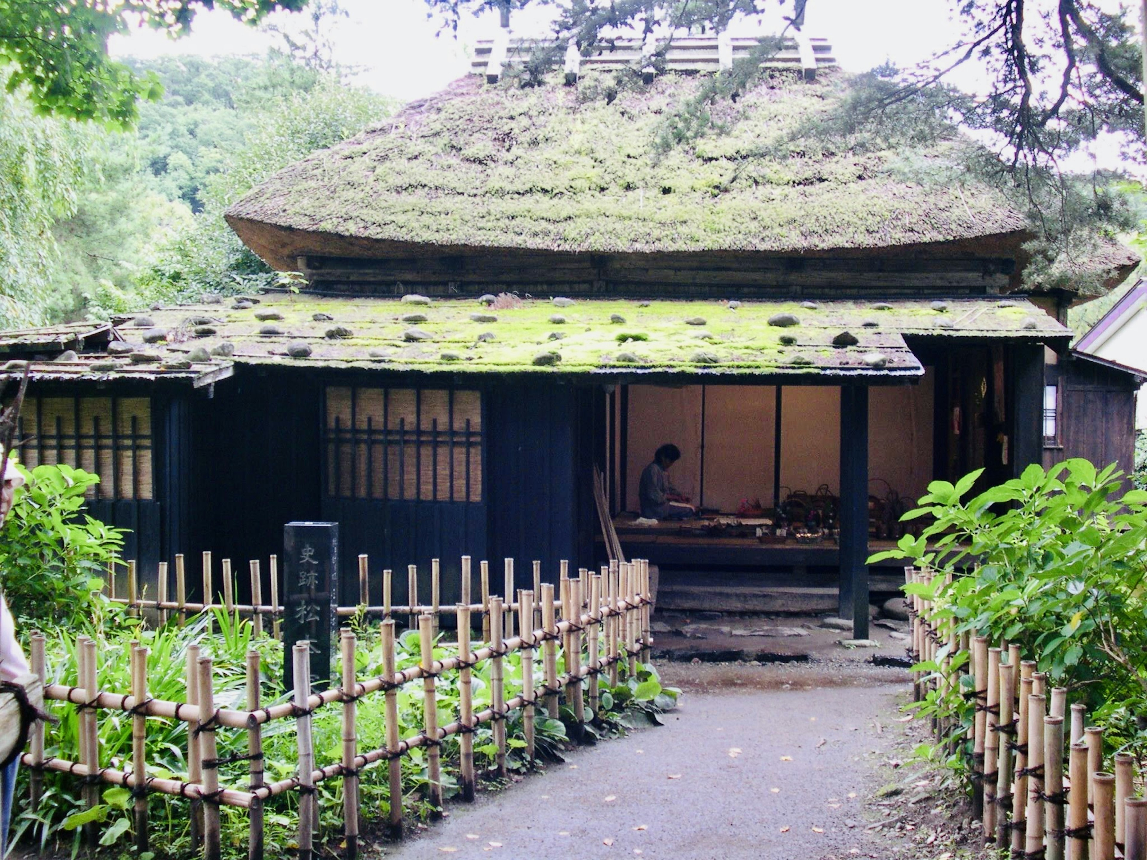 Traditional Japanese house with a thatched roof surrounded by greenery