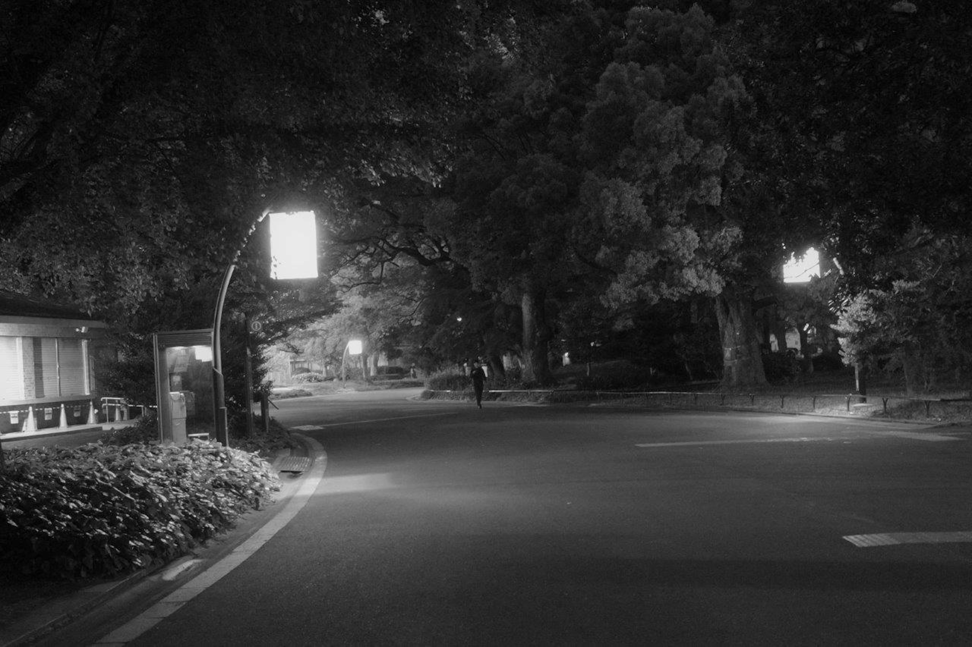 Esquina tranquila de la calle por la noche rodeada de árboles paisaje en blanco y negro con farola y señal visibles