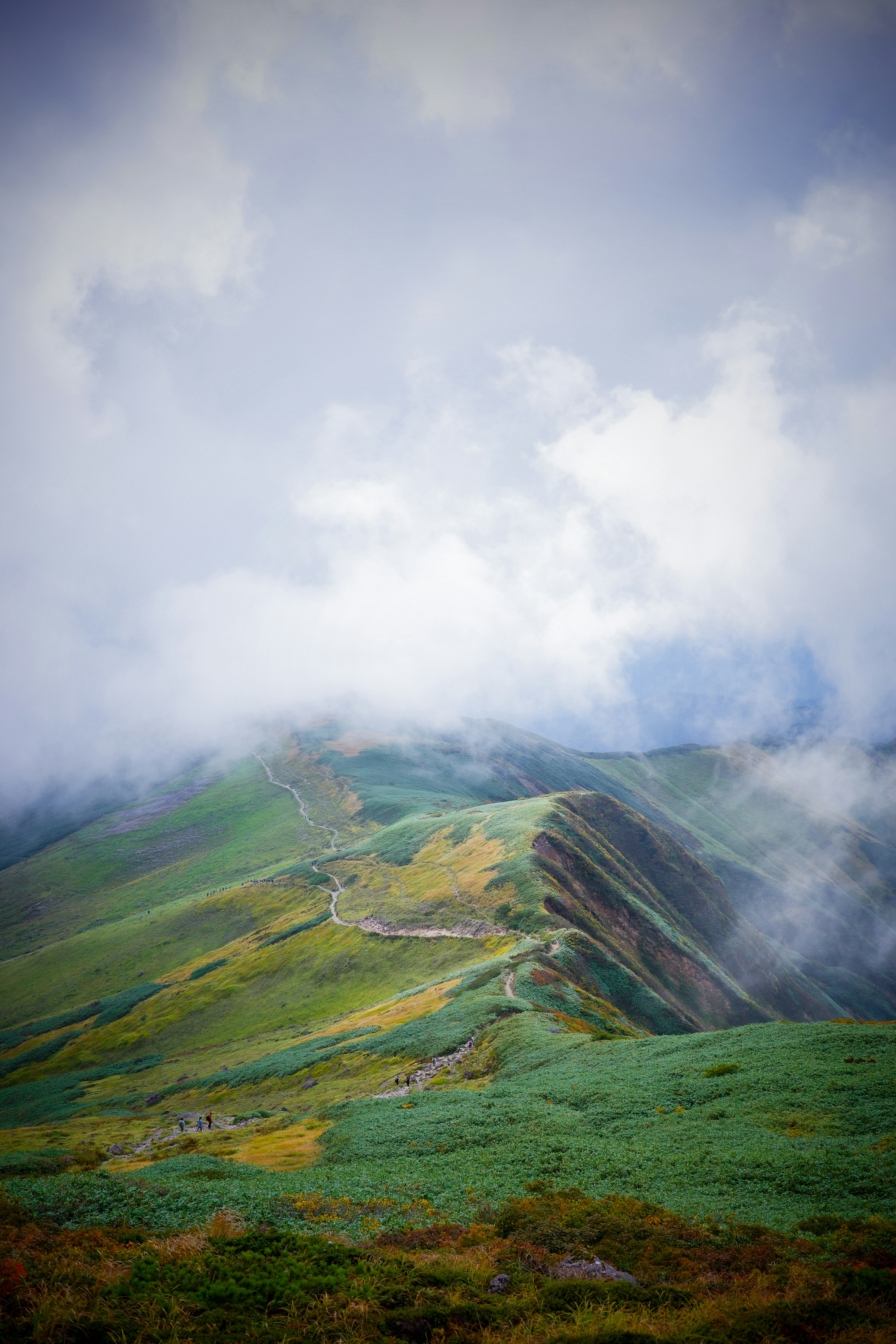 霧に包まれた緑の丘と山の風景