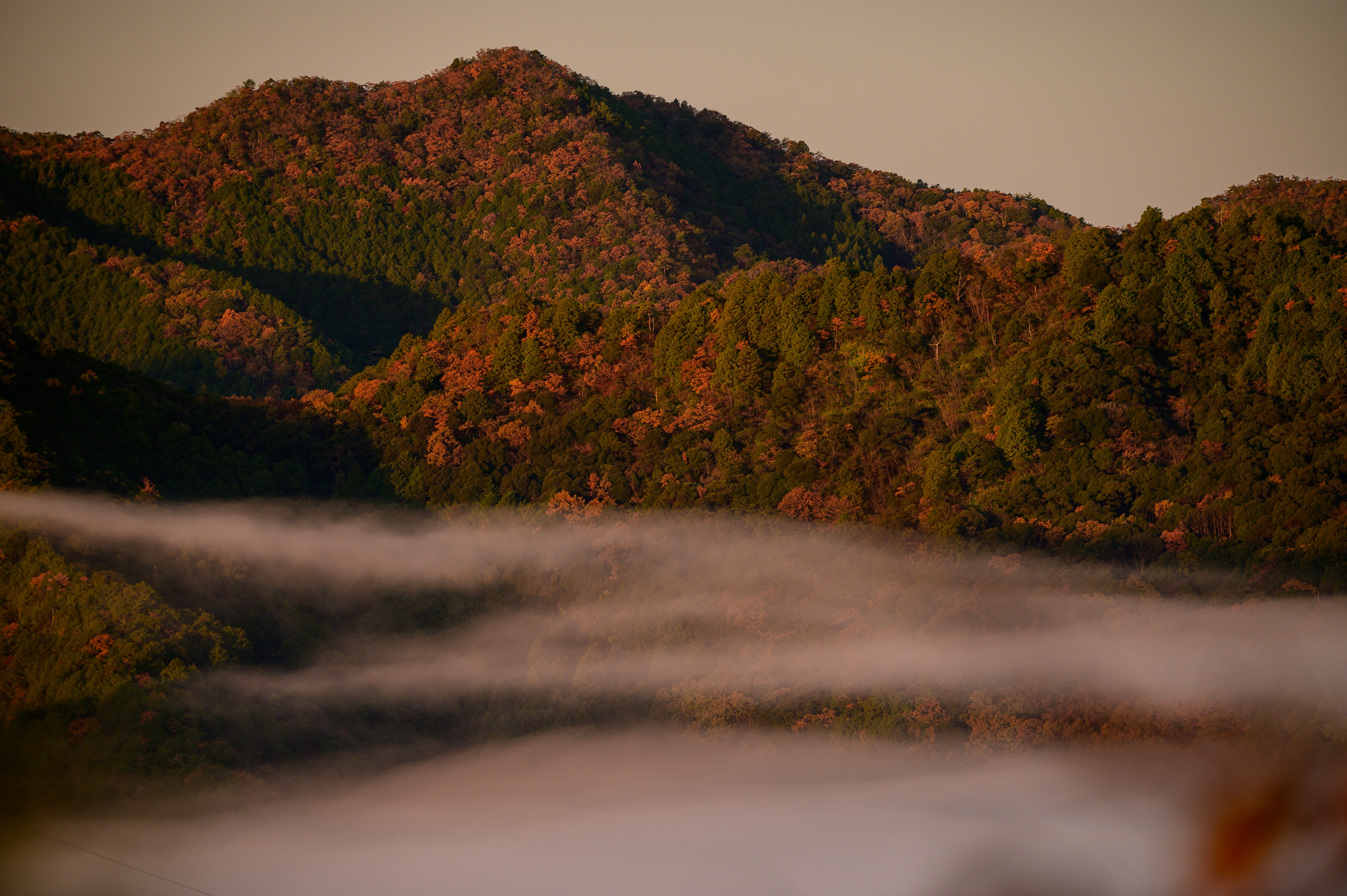 Montañas envueltas en niebla con follaje colorido