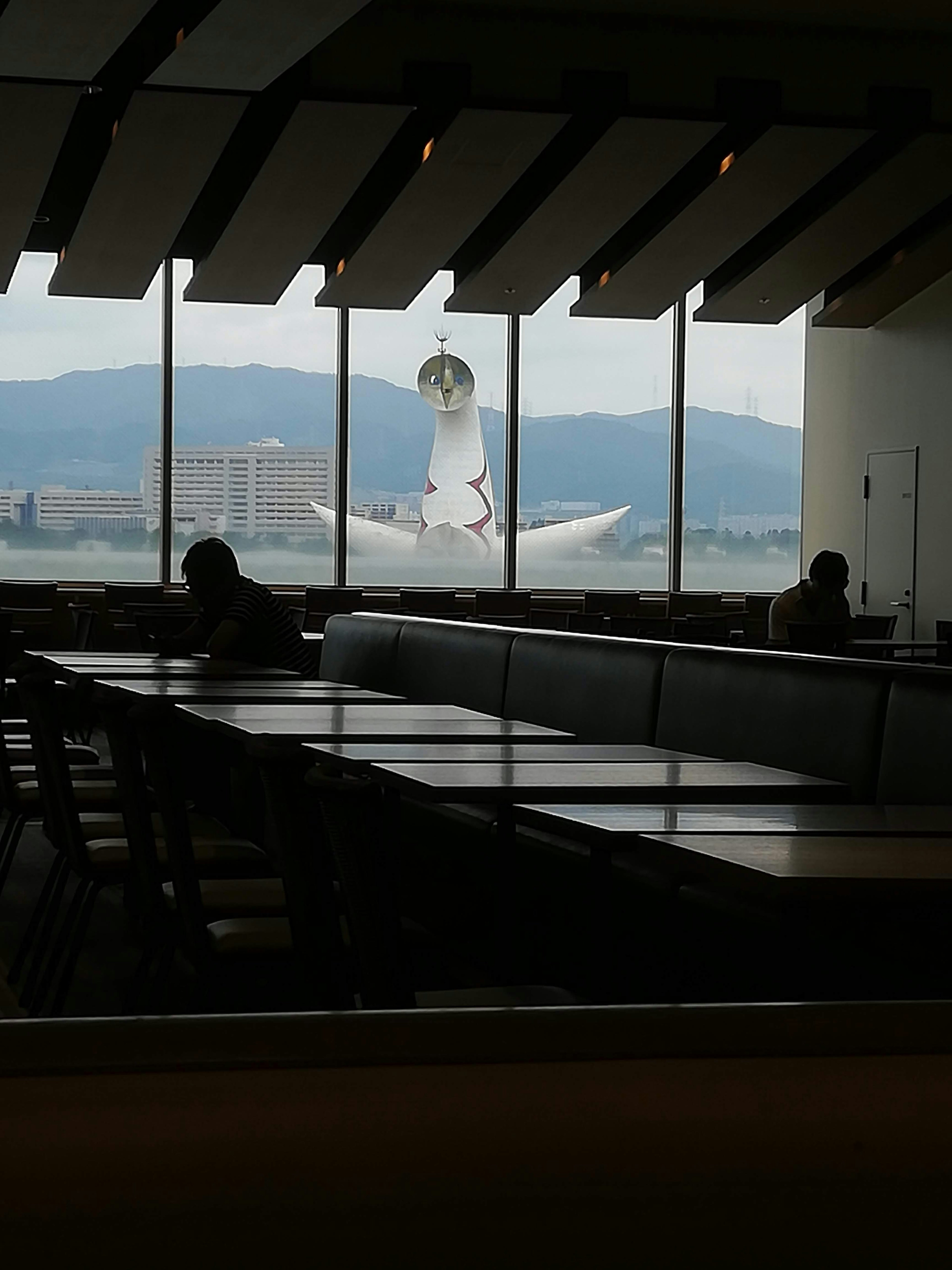 Vista de la cola de un avión y montañas a través de una gran ventana