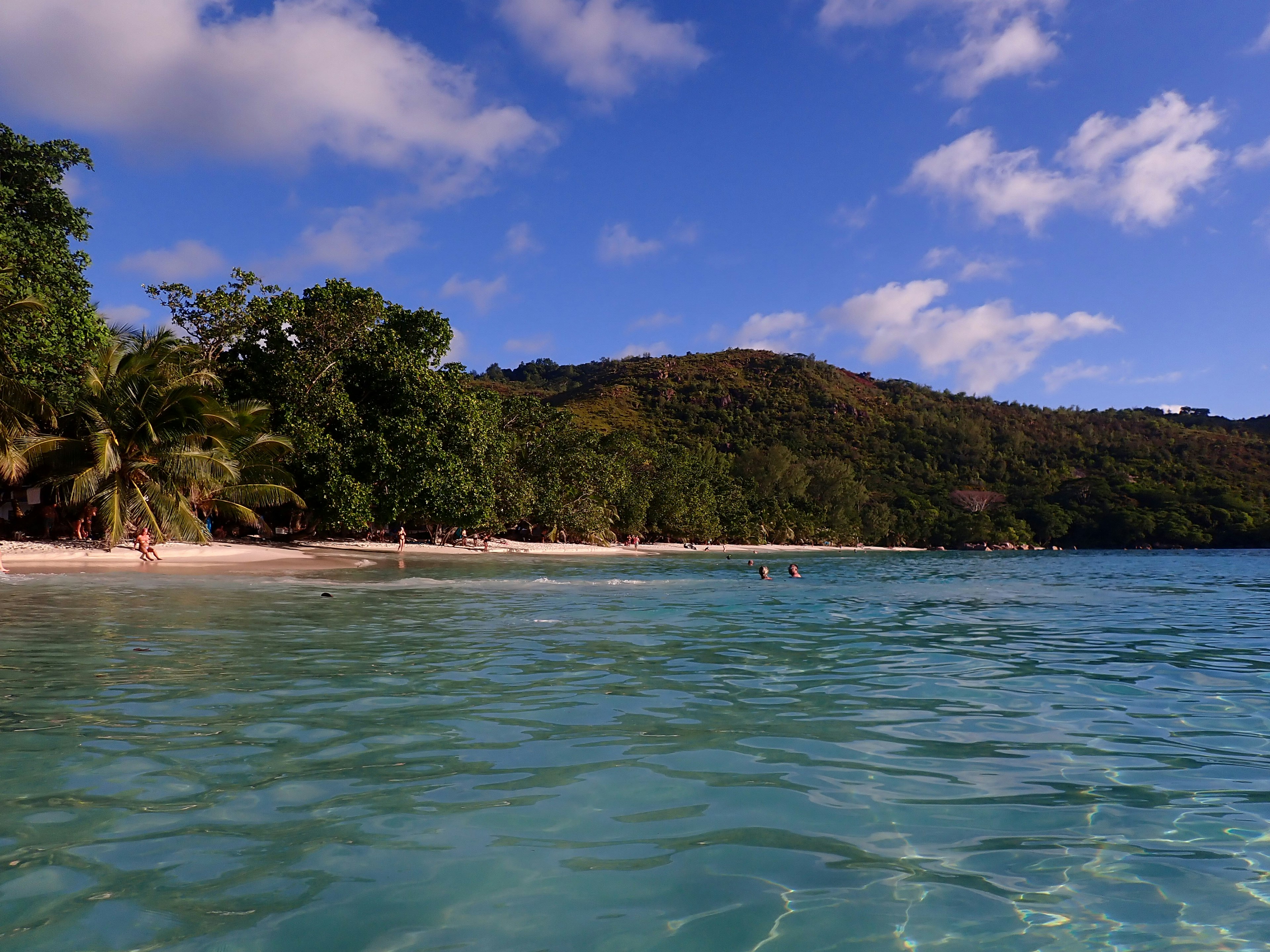 ทิวทัศน์ชายหาดที่สวยงามน้ำทะเลสีฟ้าใสต้นไม้เขียวขจีและคลื่นที่นุ่มนวล