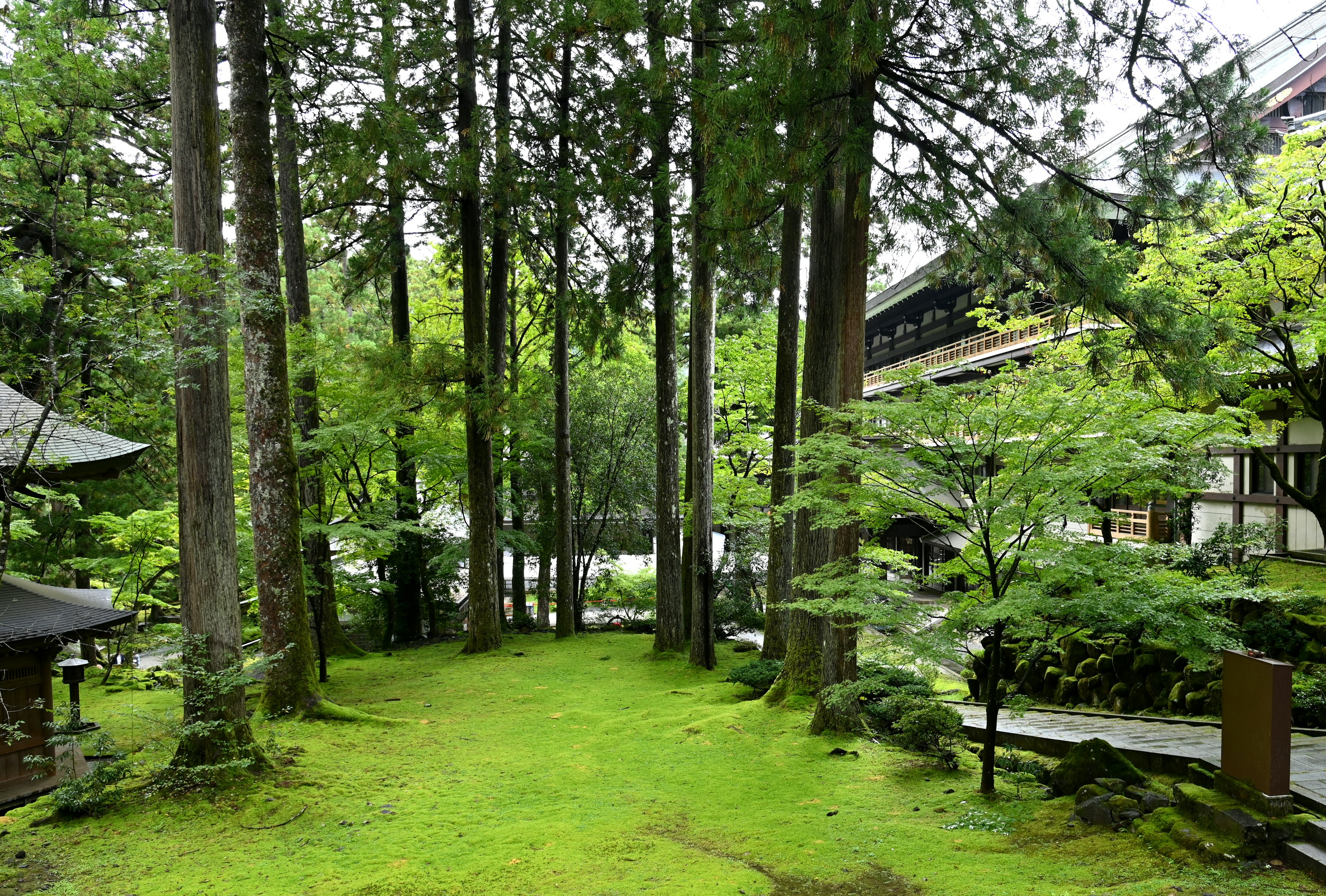 A serene garden surrounded by tall trees and lush green grass