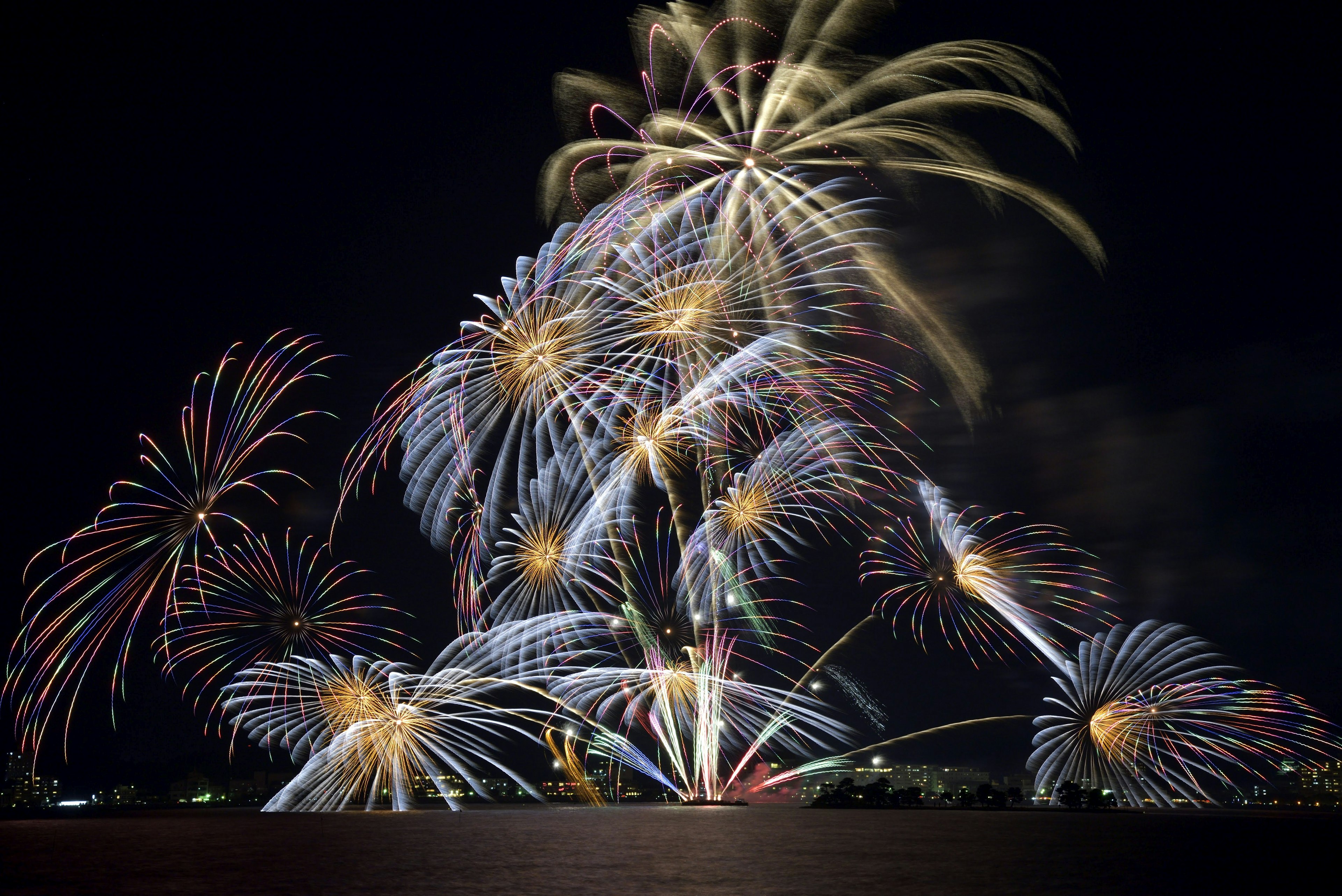 Fuochi d'artificio colorati che esplodono nel cielo notturno creando uno spettacolo bellissimo