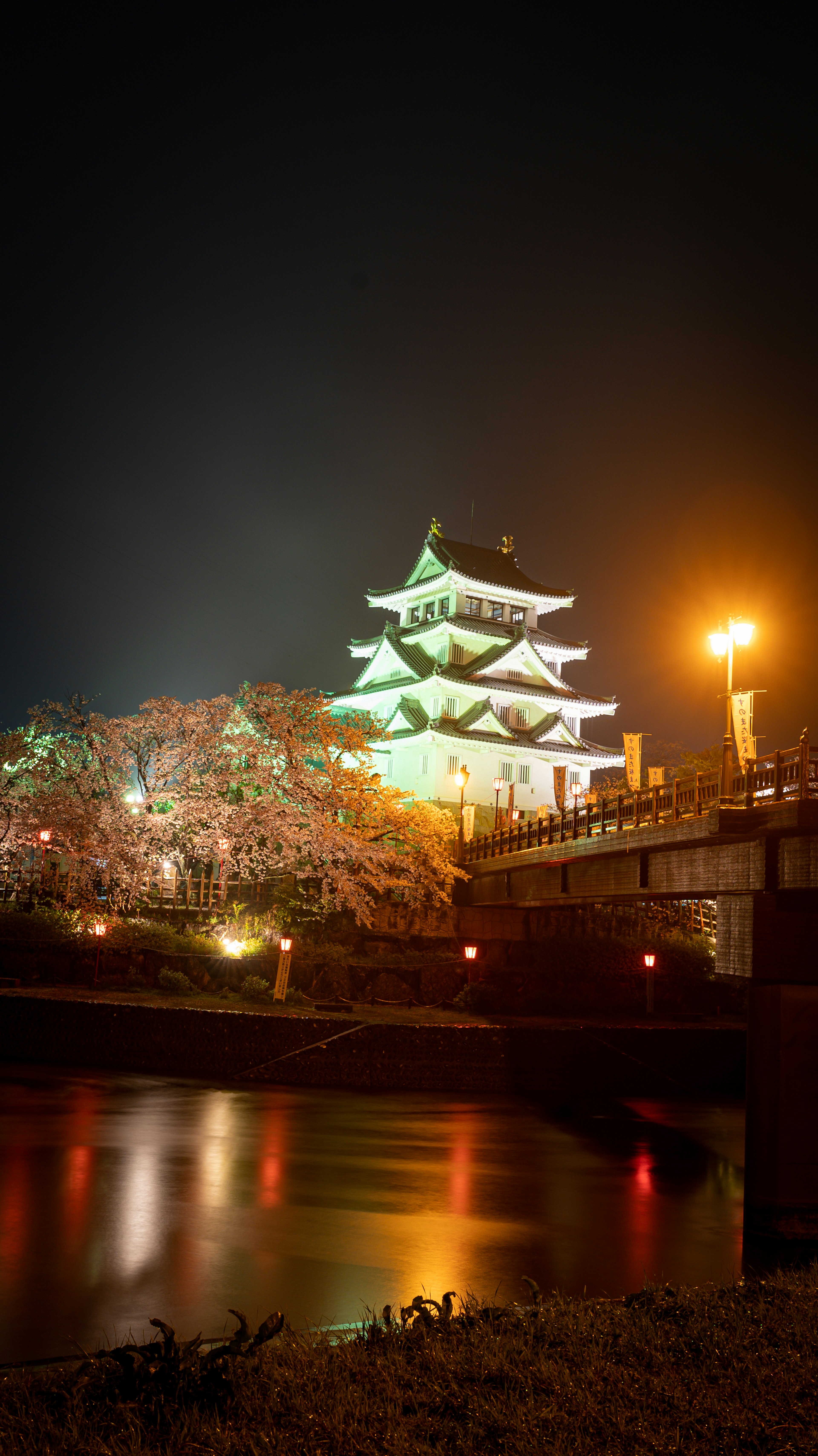 夜の桜と城の美しい景色