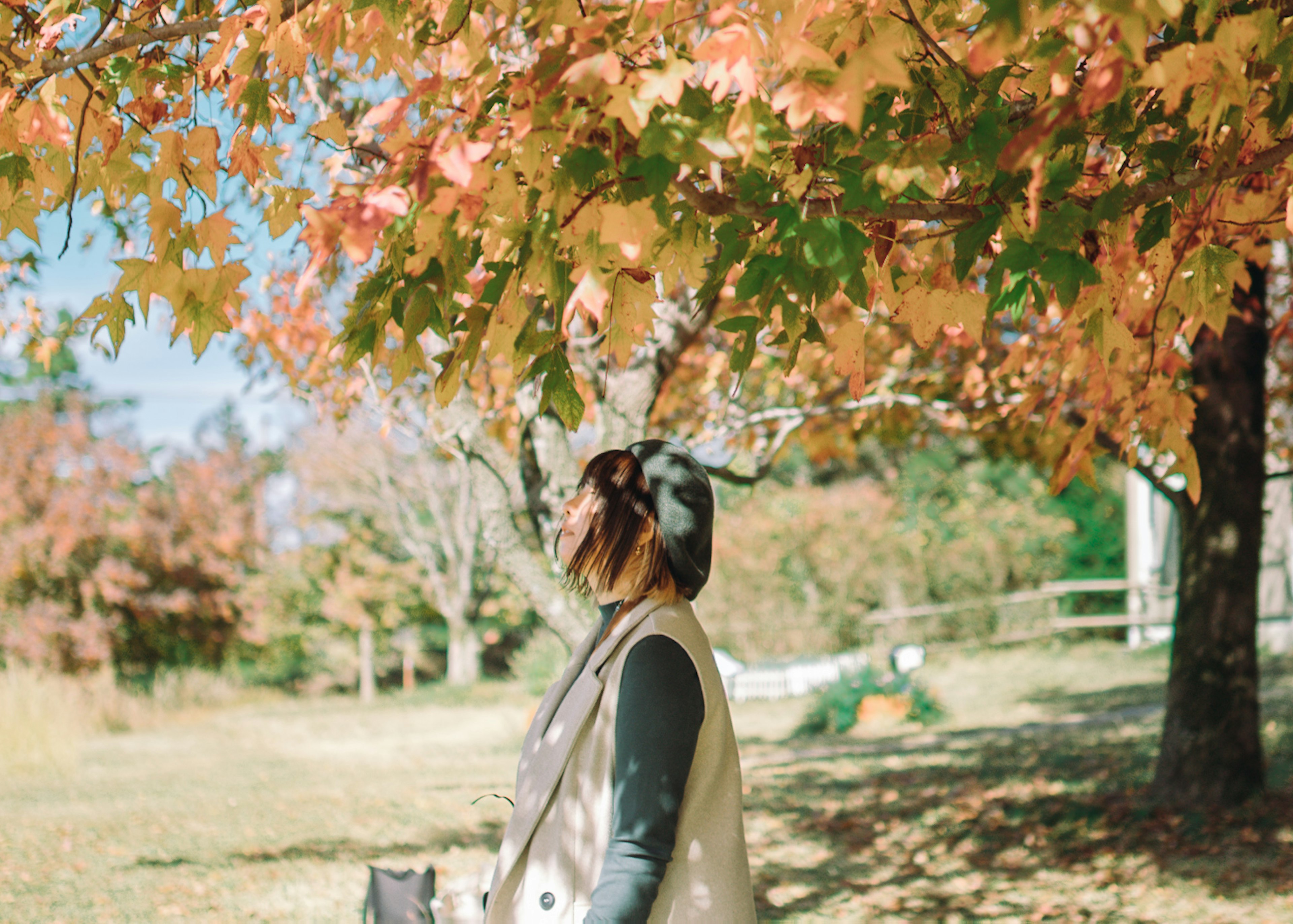 女性が秋の紅葉の下で立っているシーン