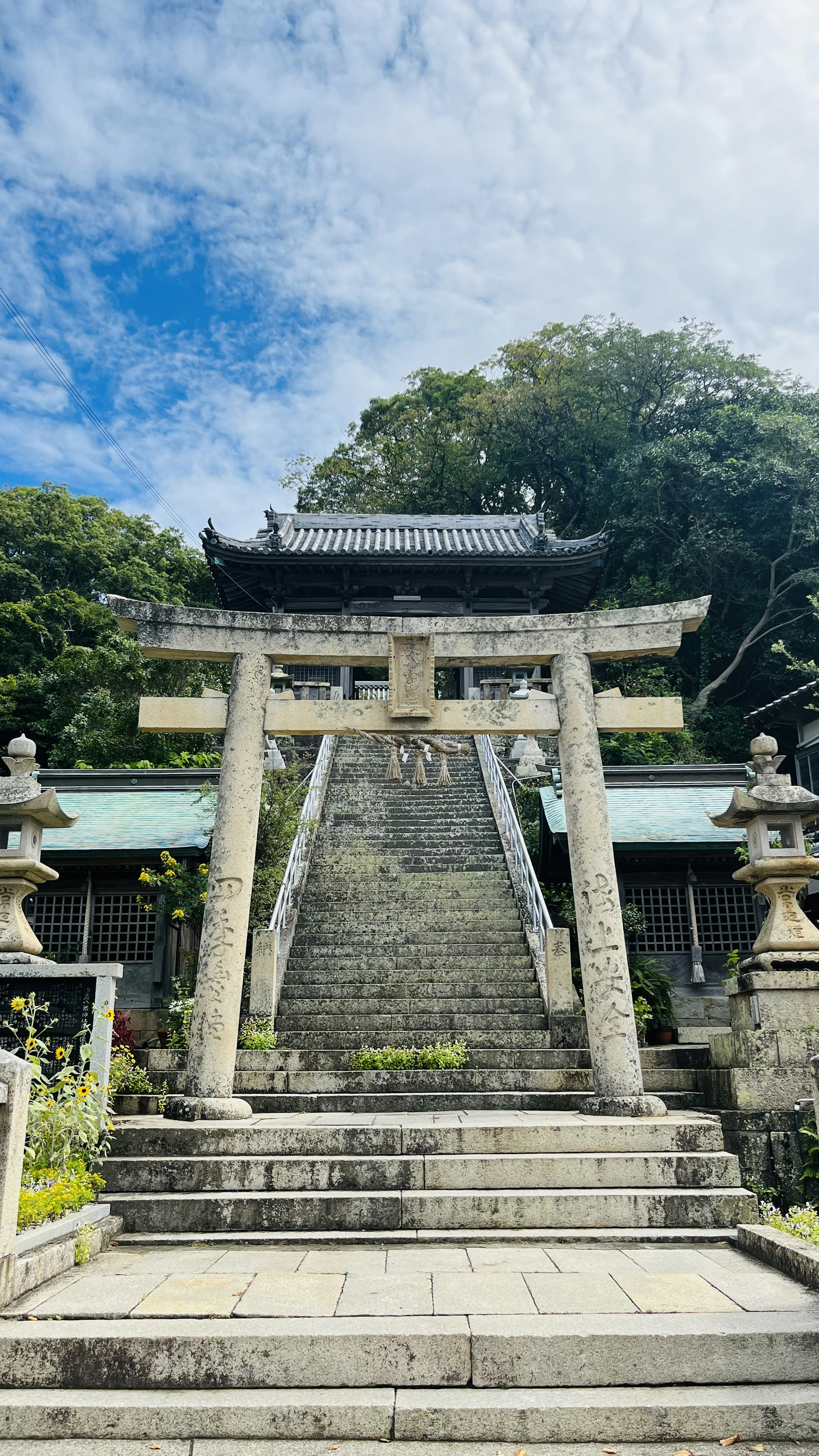 神社の鳥居と石段が見える風景