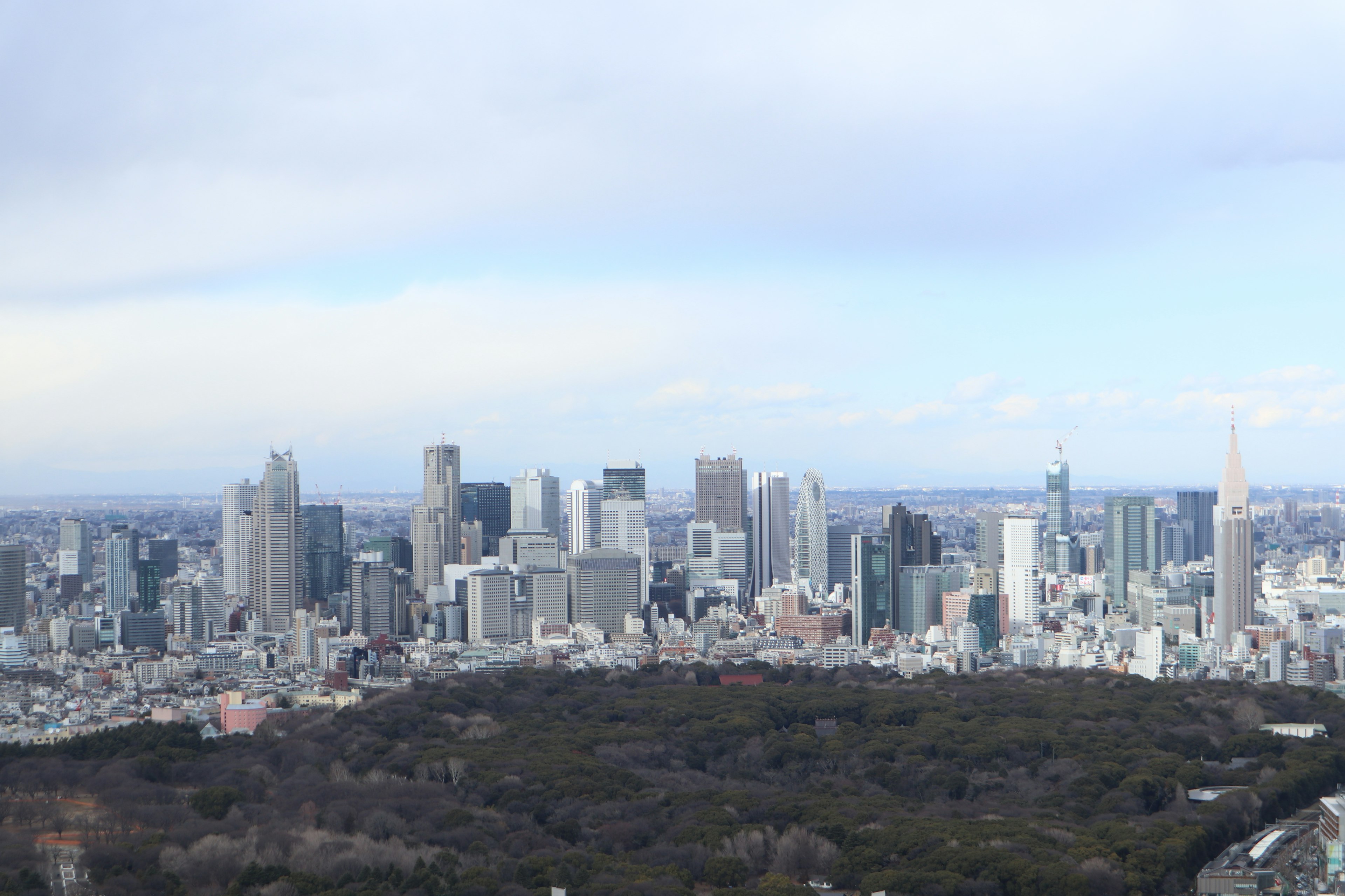 Vista panorámica del horizonte de Tokio con parque verde y rascacielos