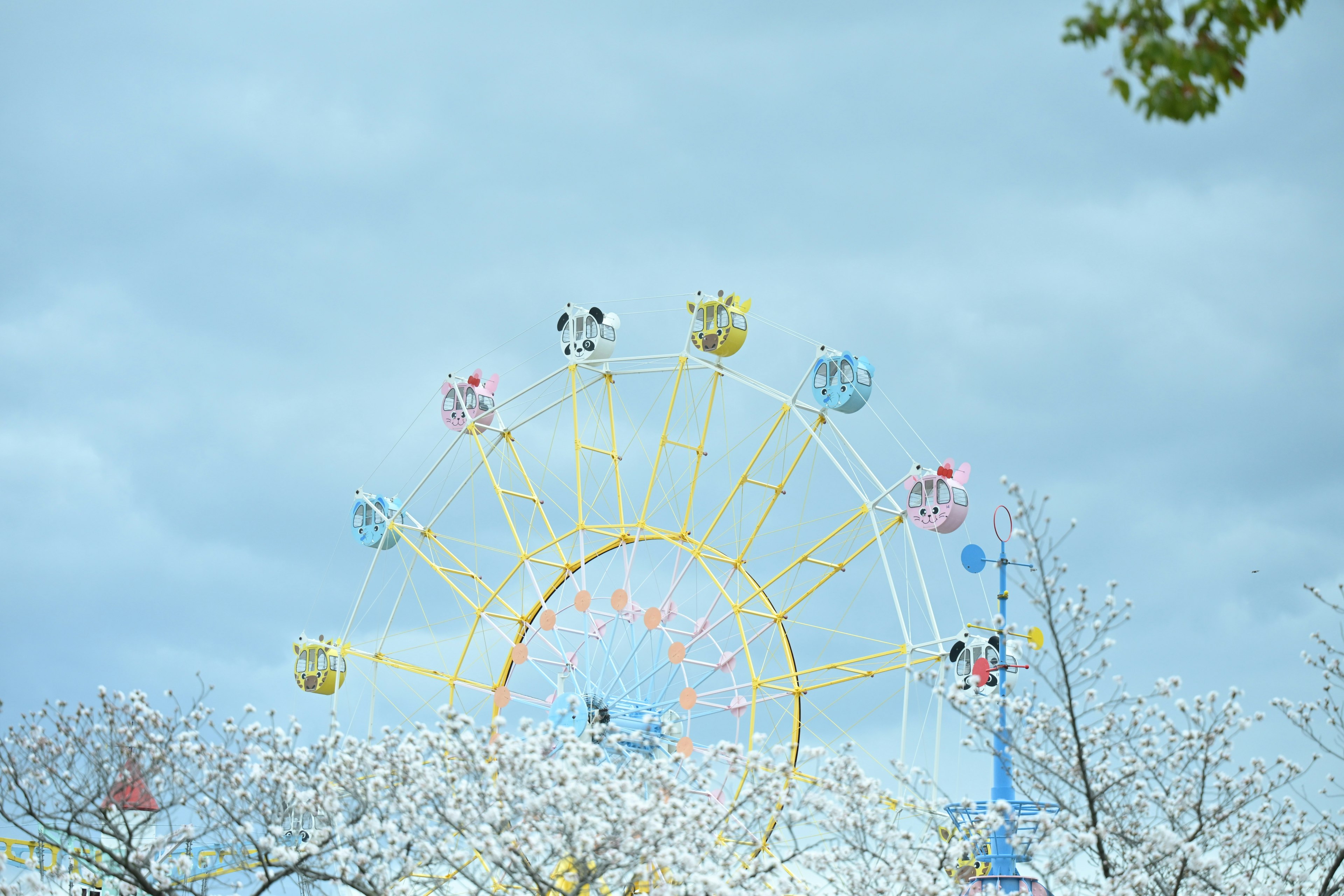 Colorful ferris wheel with cartoon characters against a backdrop of cherry blossoms and a blue sky