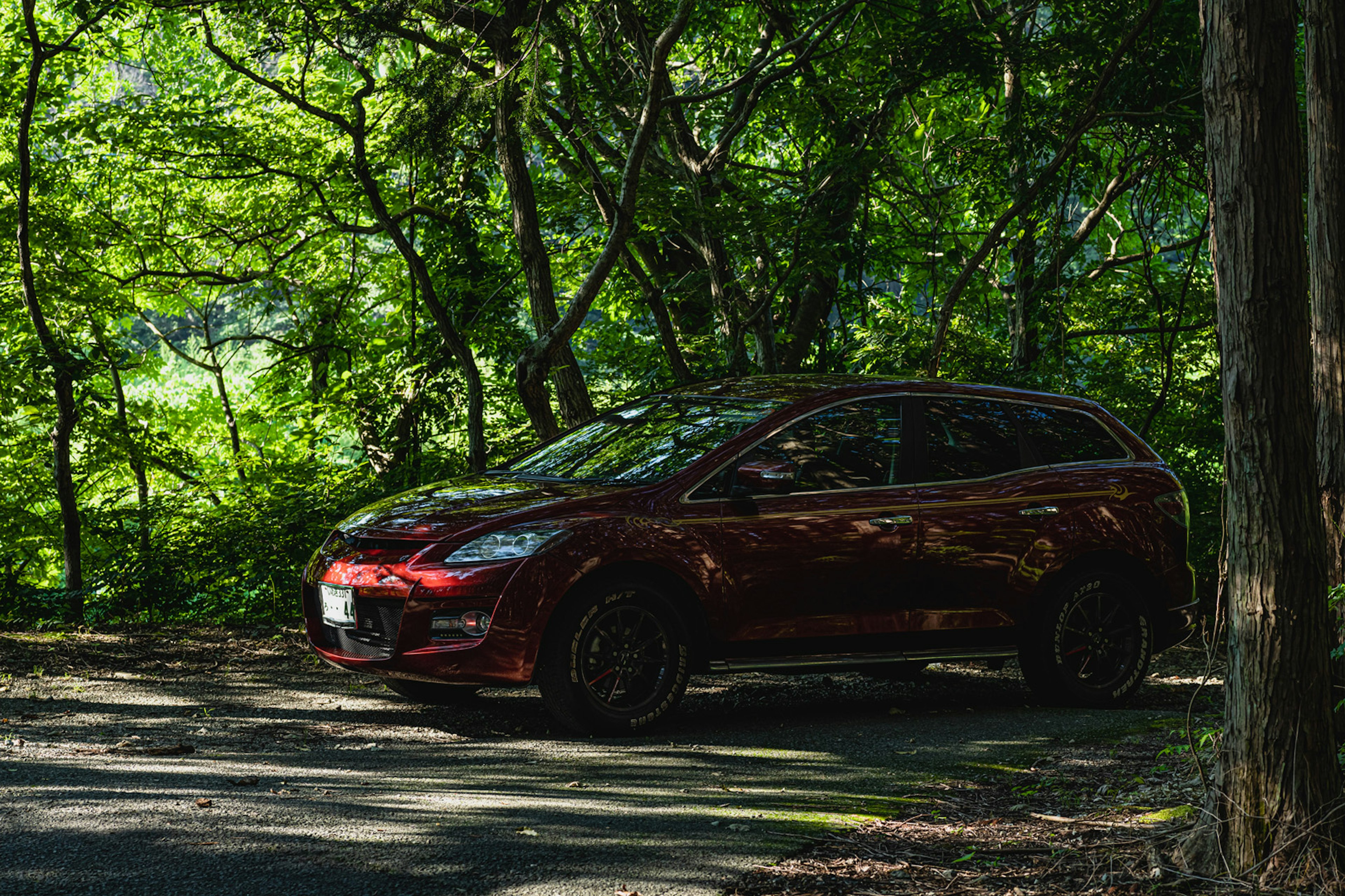 Red SUV parked on a path surrounded by green trees