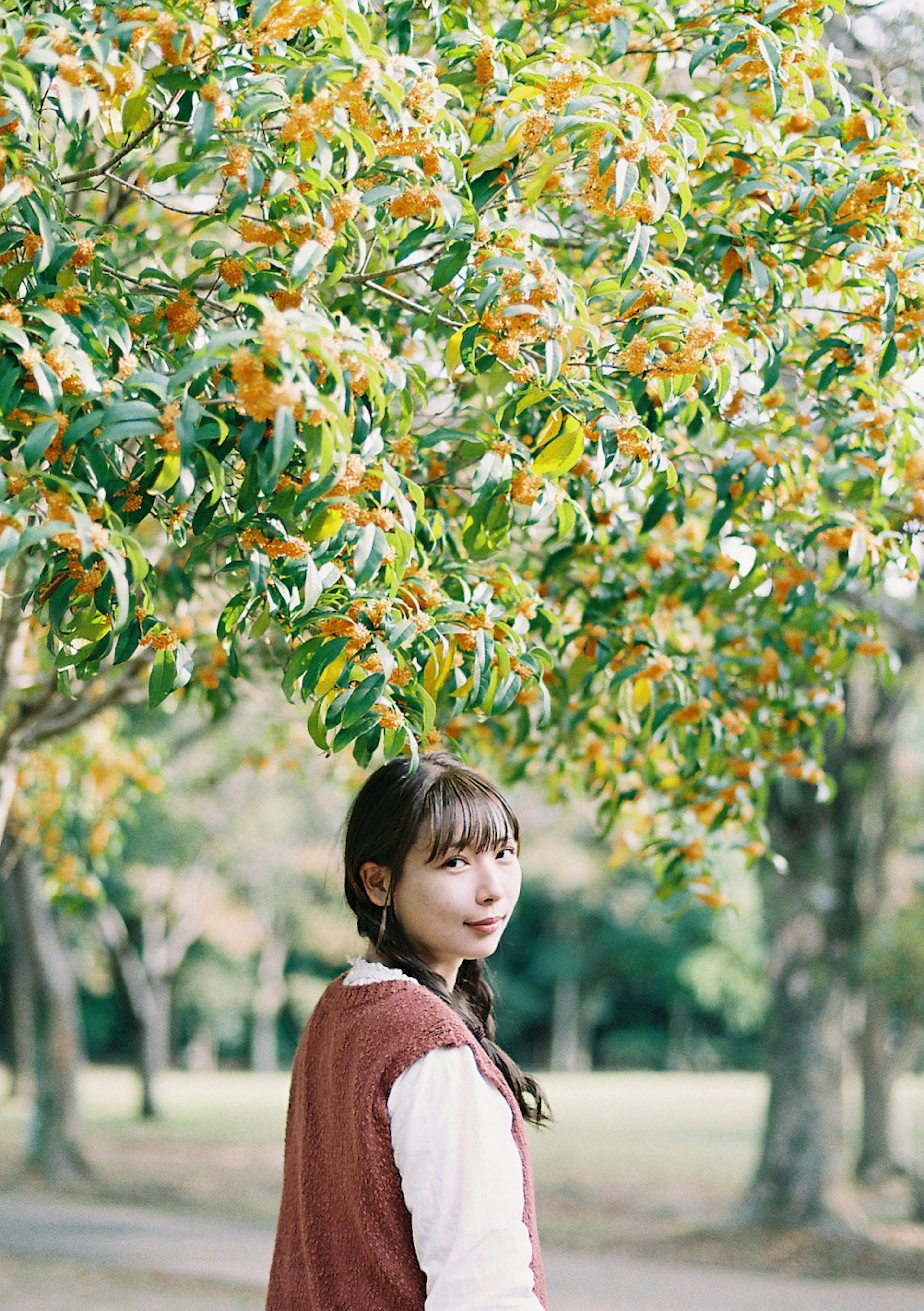 Woman standing under a green tree with autumn leaves turning color in a soft light atmosphere