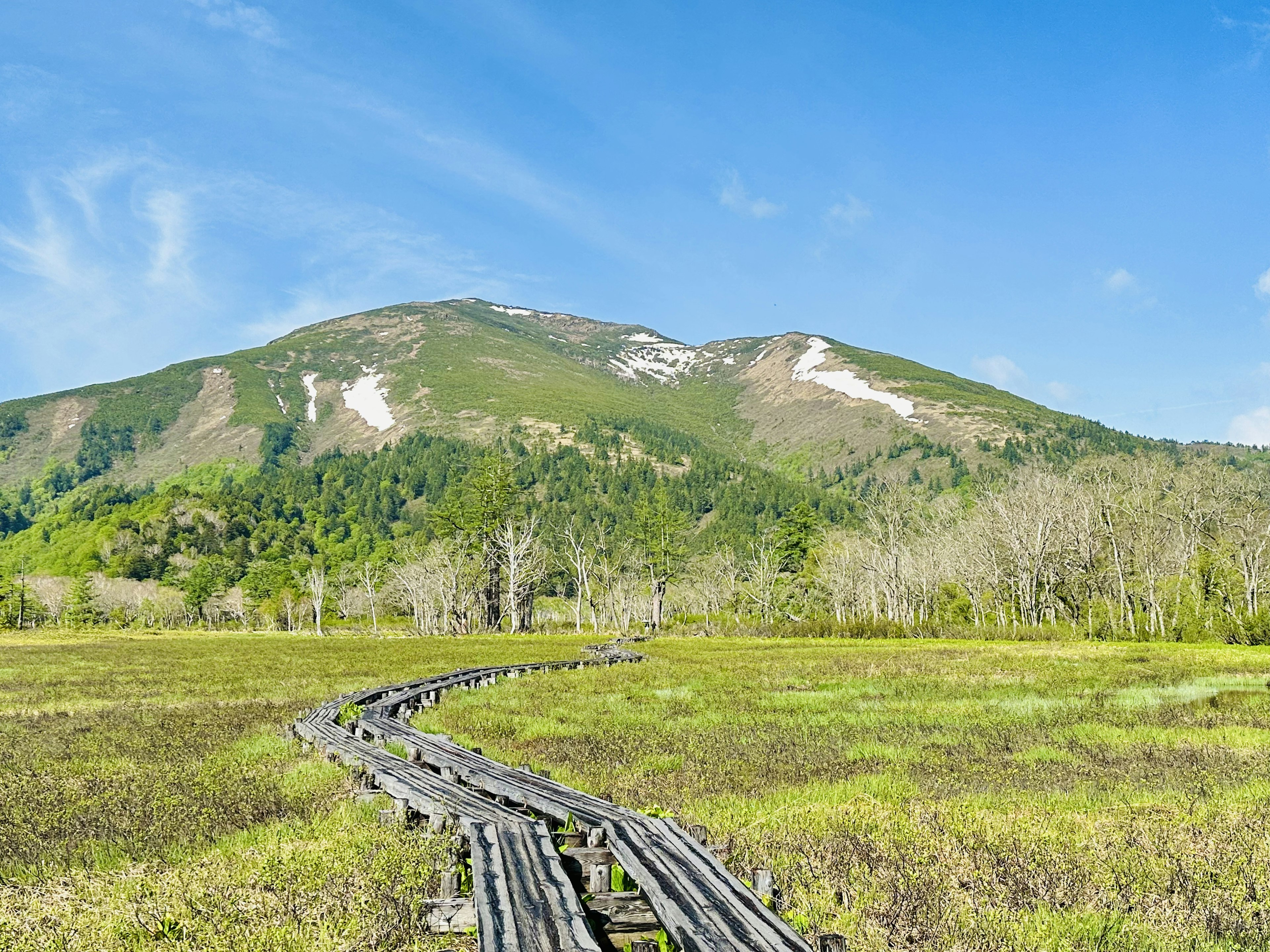 Vue pittoresque d'une prairie verte avec un chemin en bois menant à une montagne