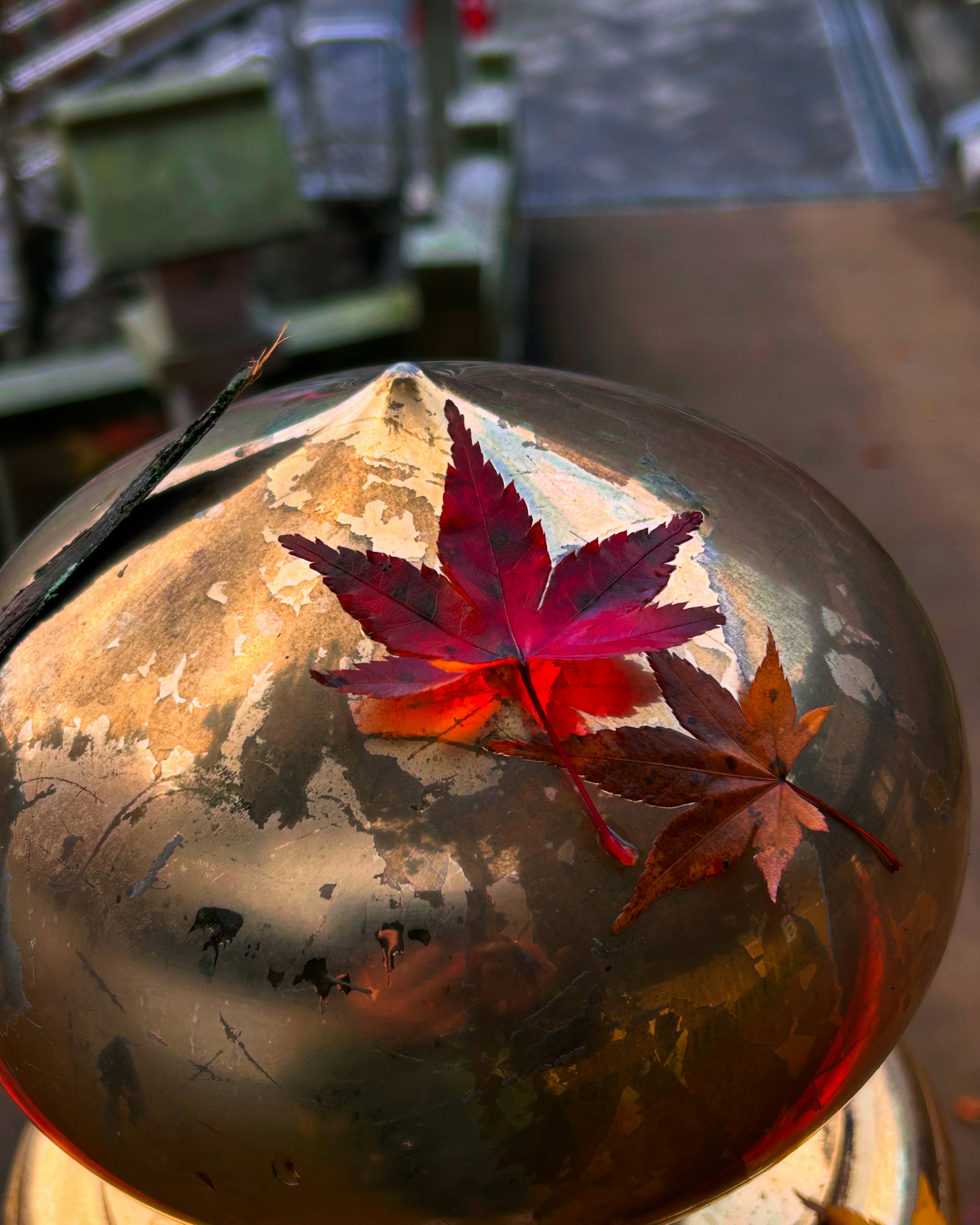 De belles feuilles d'automne placées sur un objet décoratif doré