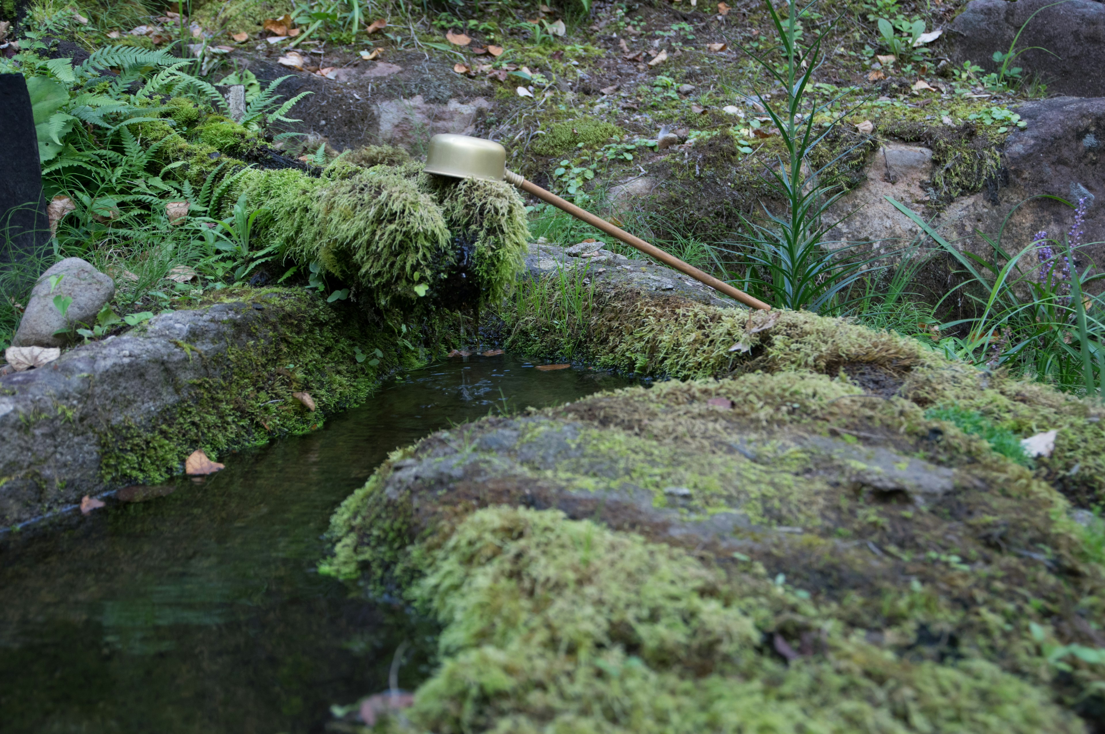 Water flowing over moss-covered stones with a golden ladle