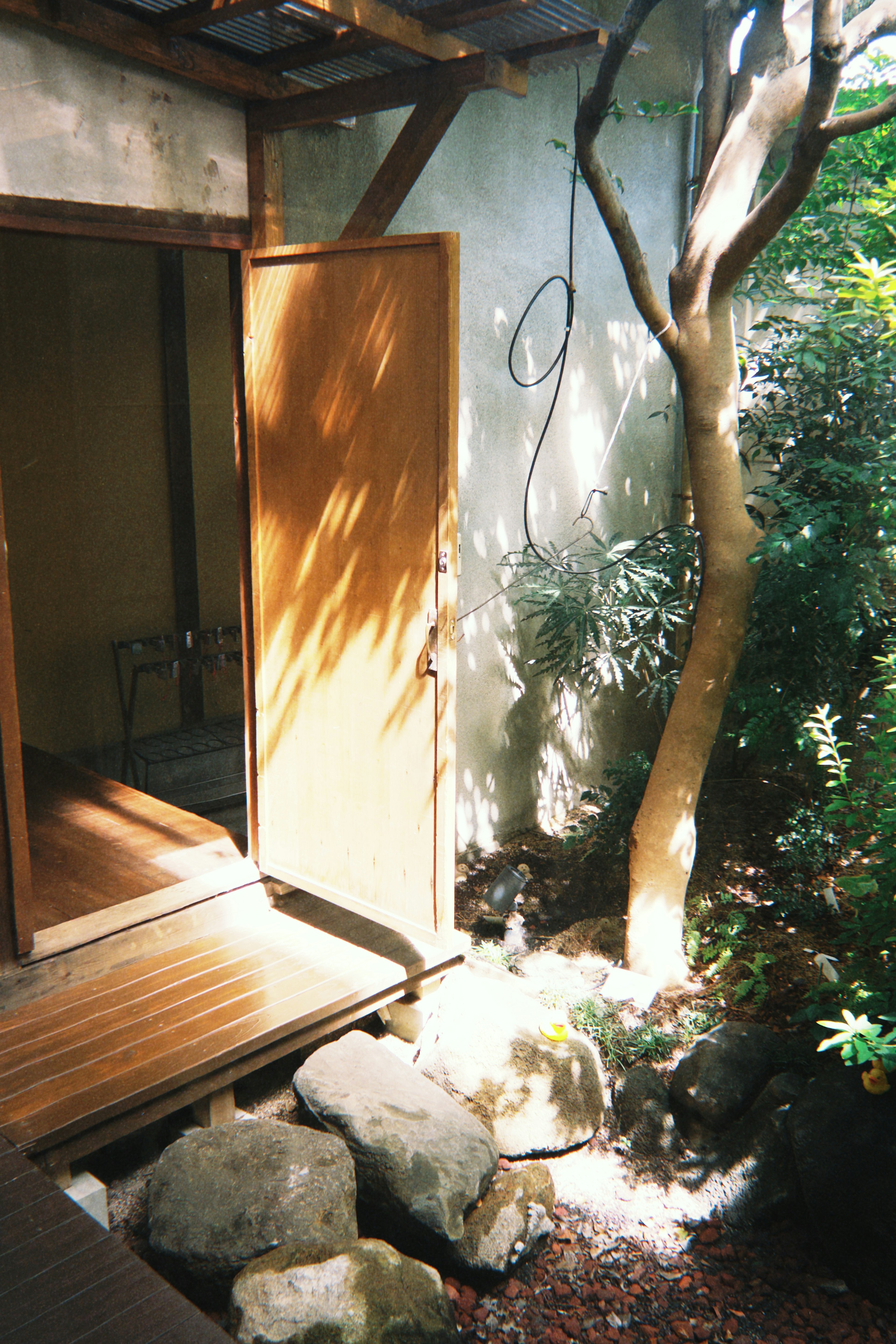 Entrance to a Japanese garden with an open wooden door green plants and visible stones