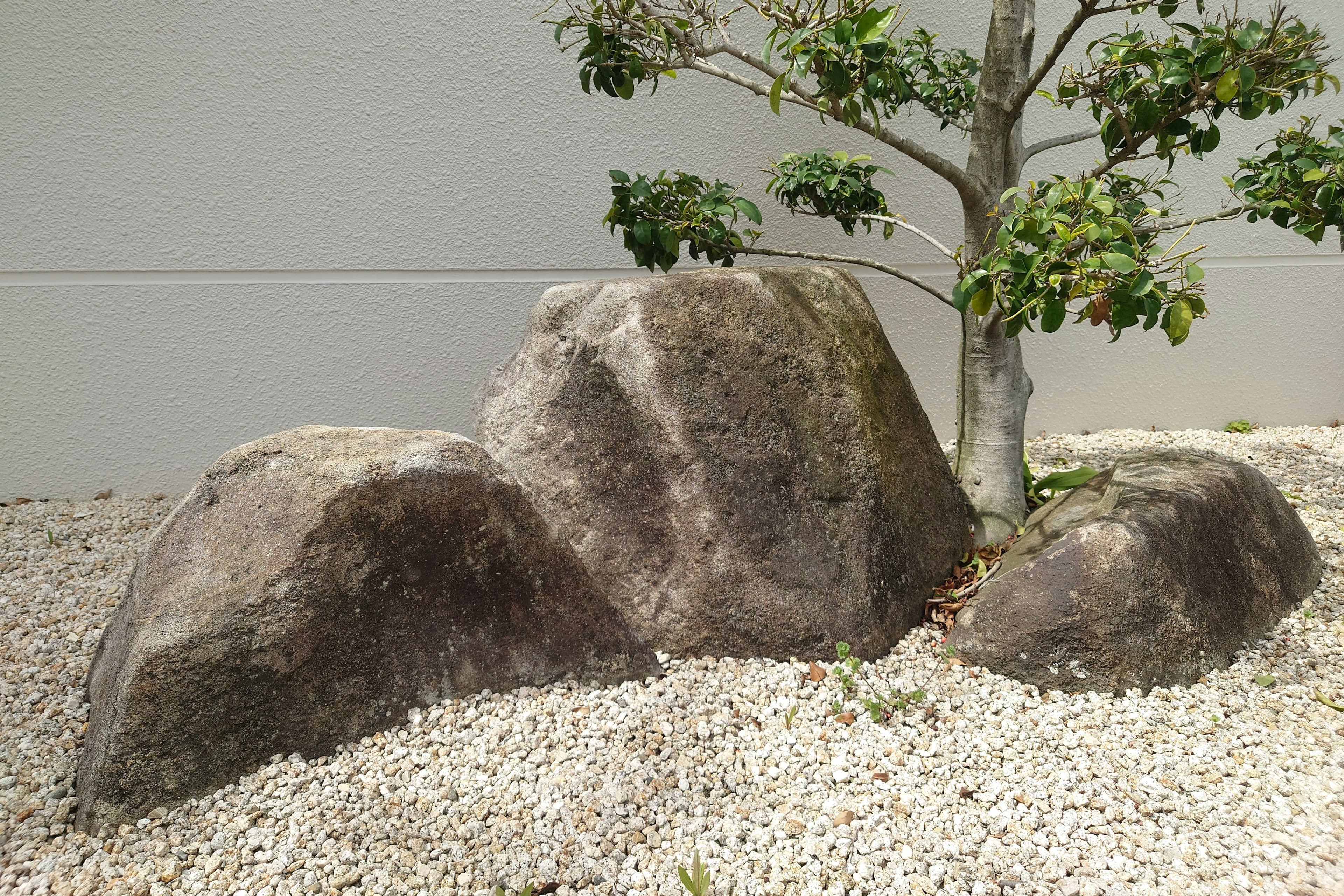 Paisaje con grandes rocas y un pequeño árbol