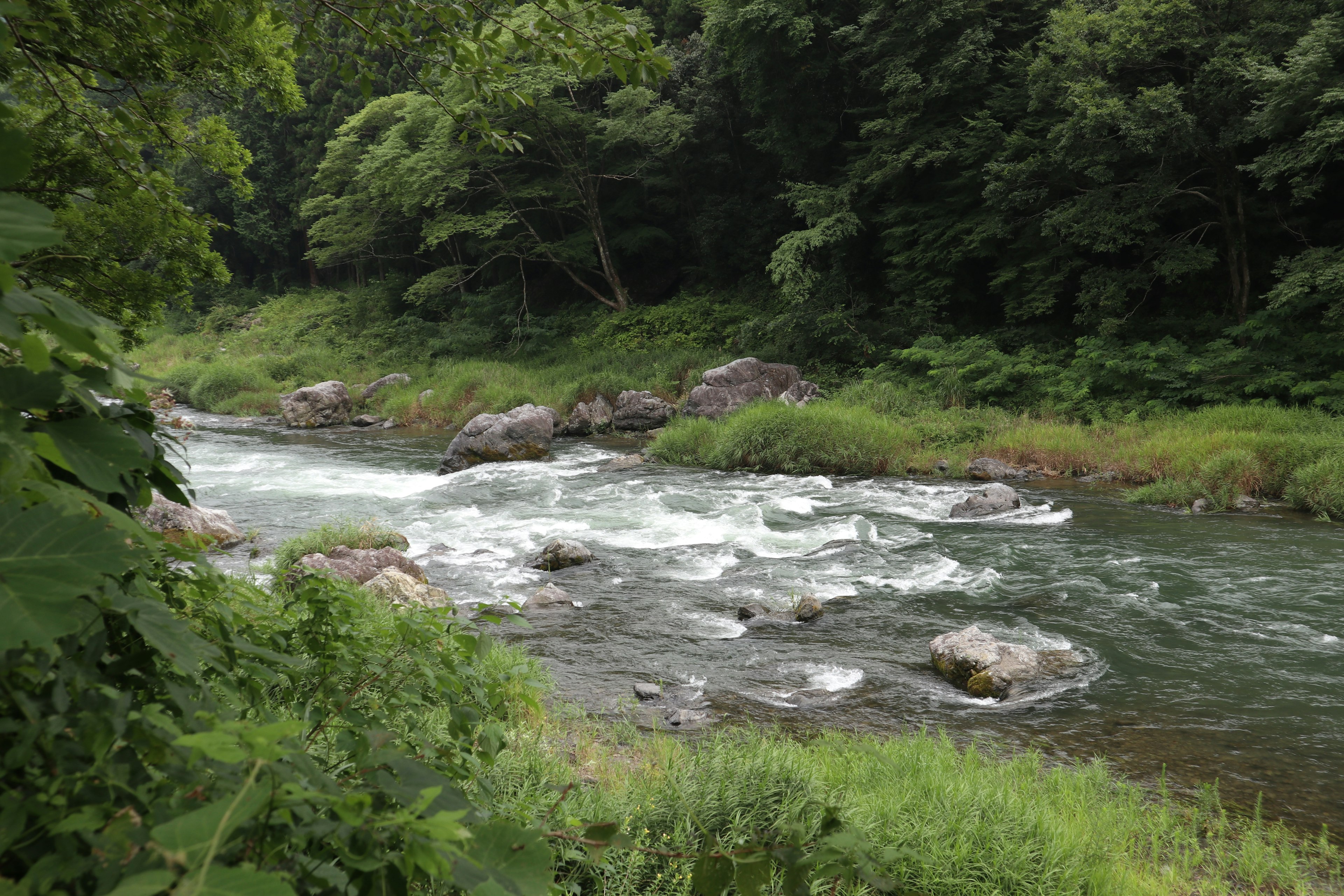 A clear stream flowing along a lush green bank with rocks