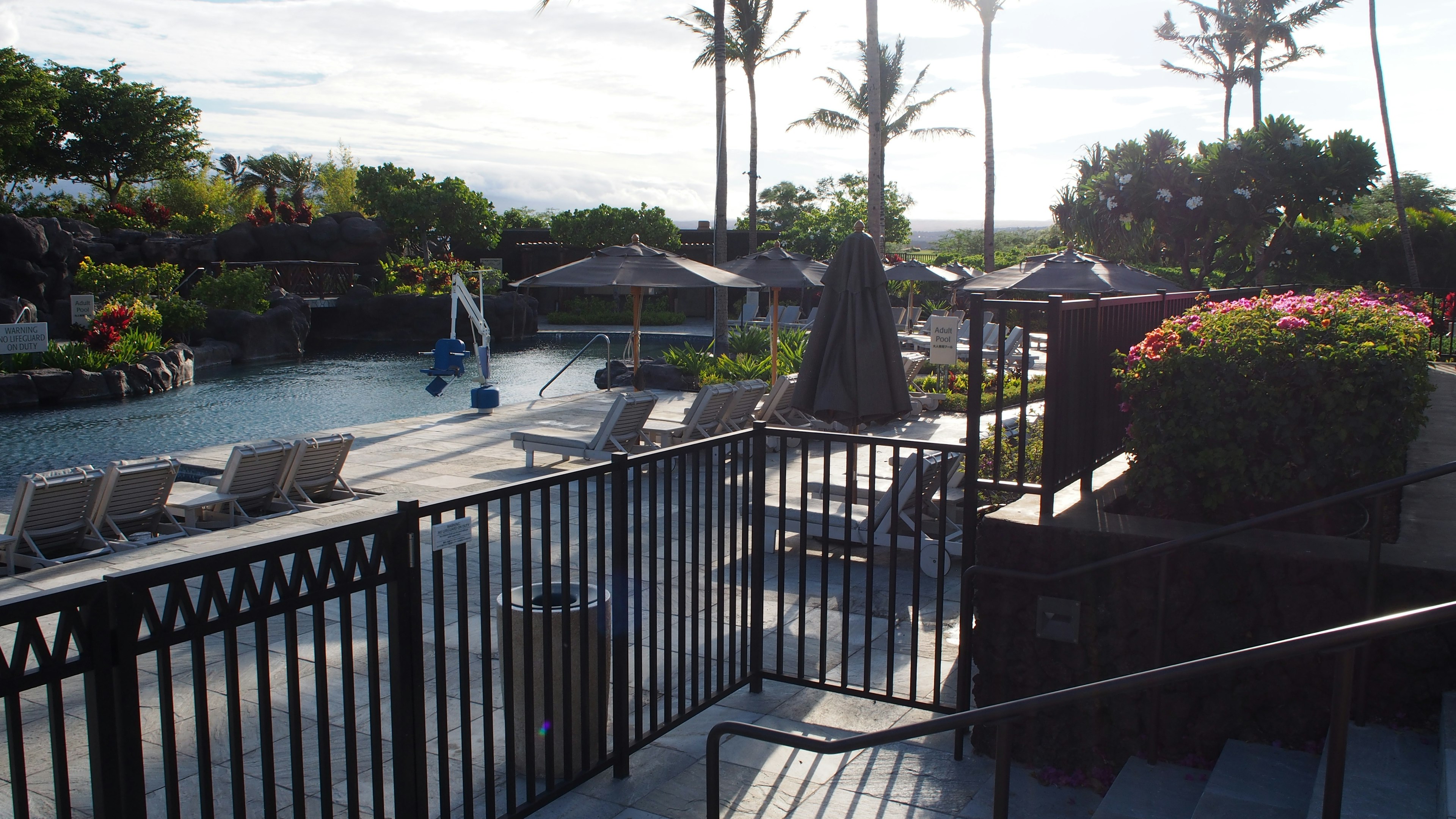 Vue lumineuse d'une zone de piscine avec des palmiers et des chaises longues