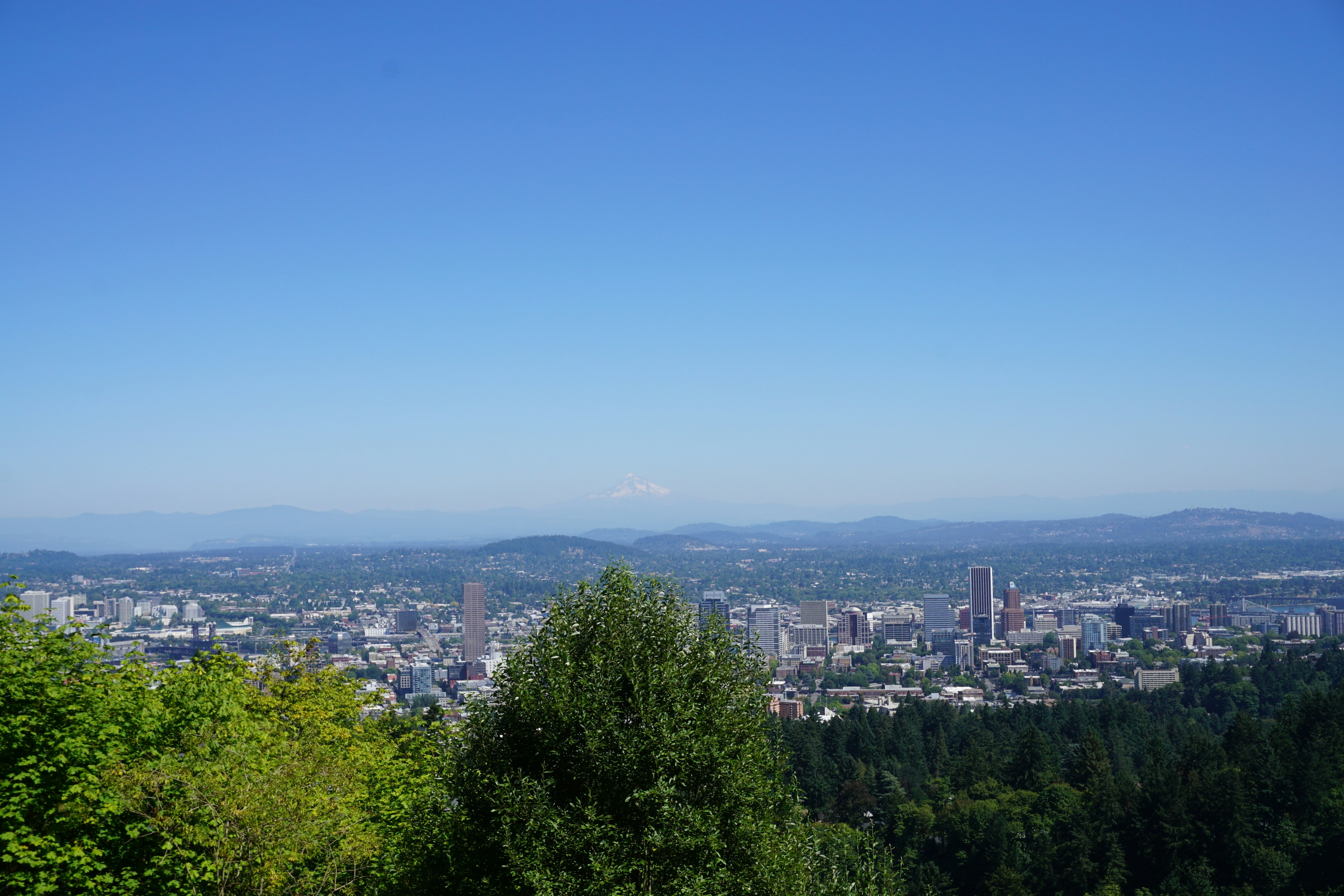 Vista panorámica de Portland con árboles verdes y cielo azul claro