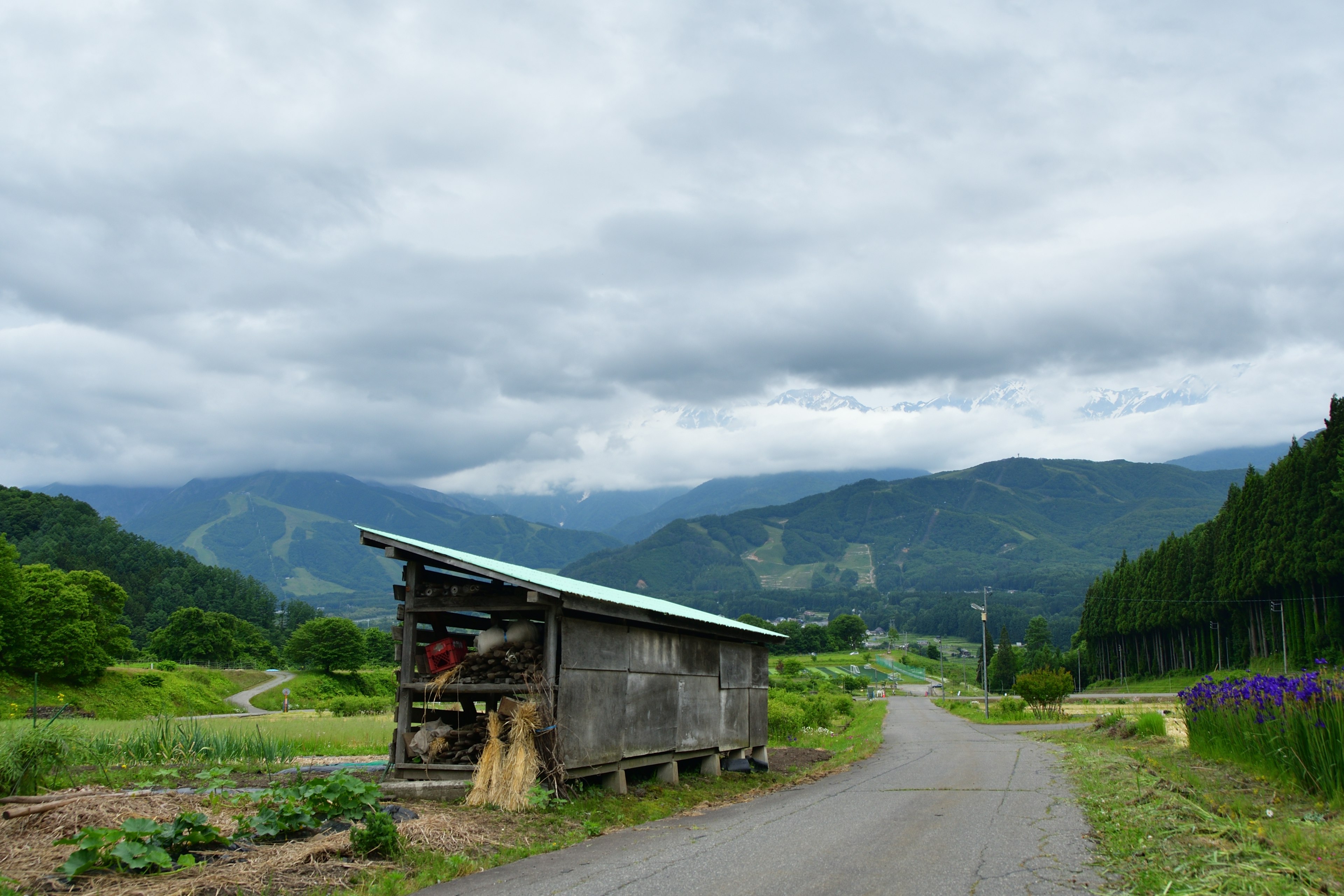 Rural landscape with a shed and road set against mountains