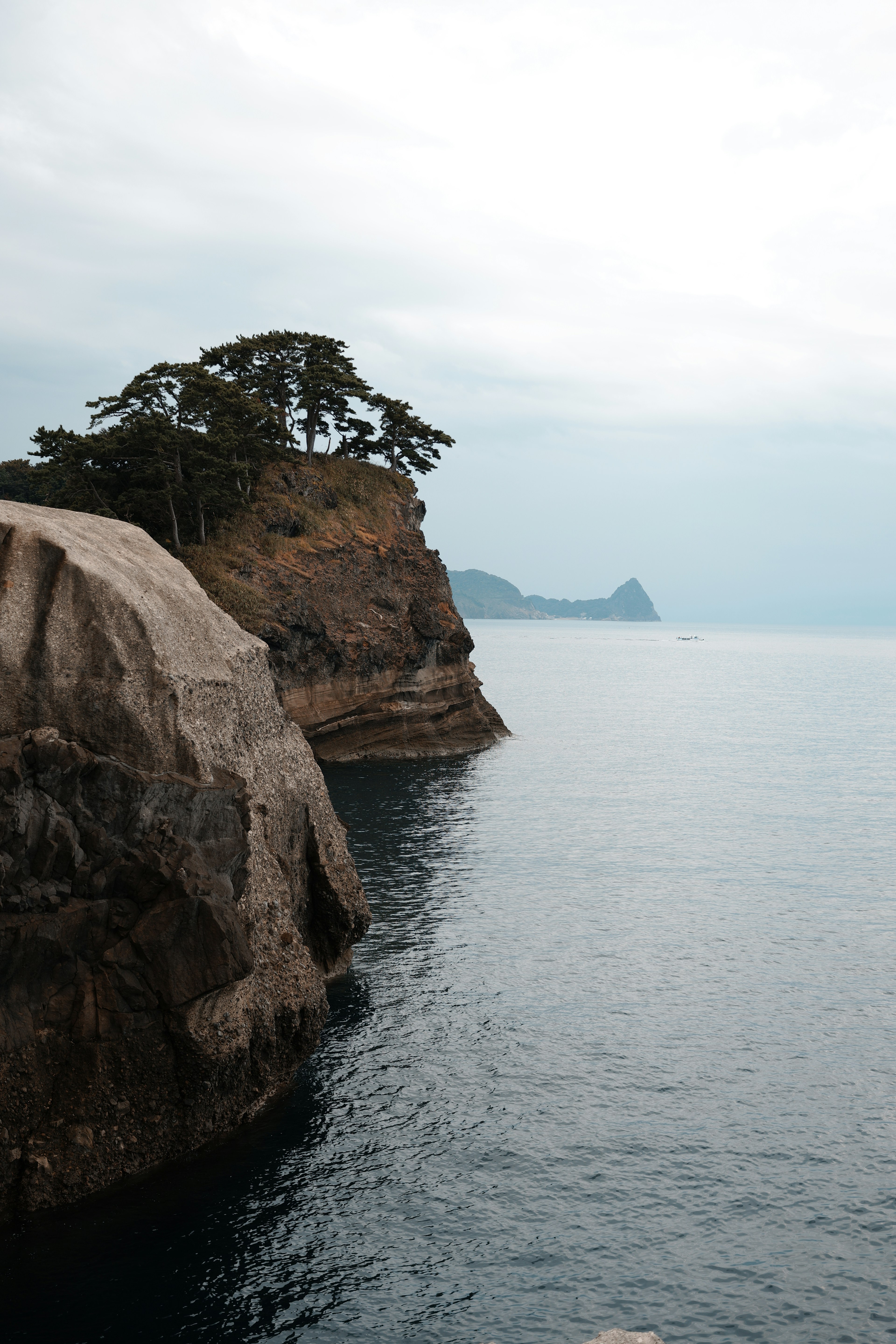 岩の上に立つ木と穏やかな海の景色