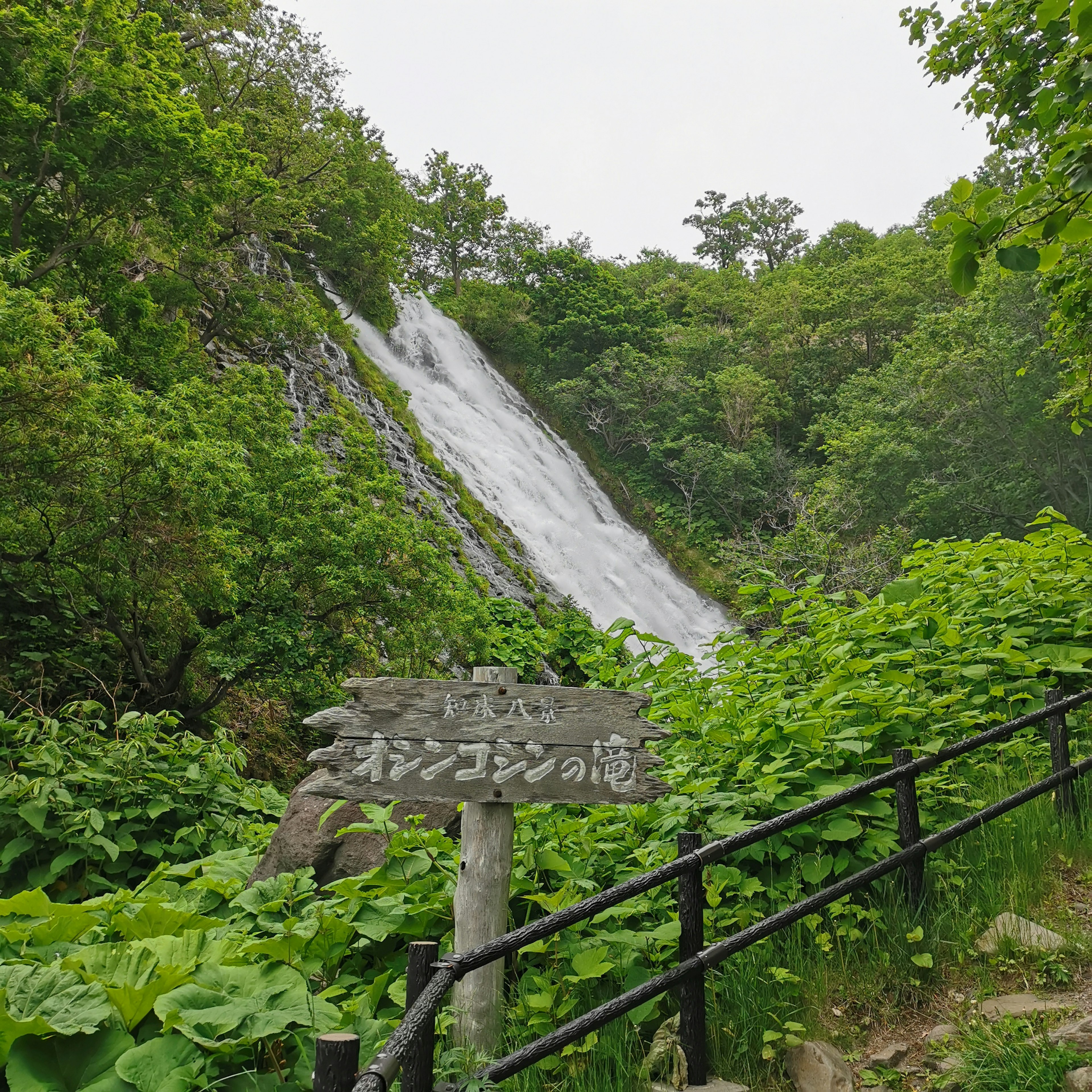 A beautiful waterfall surrounded by lush greenery