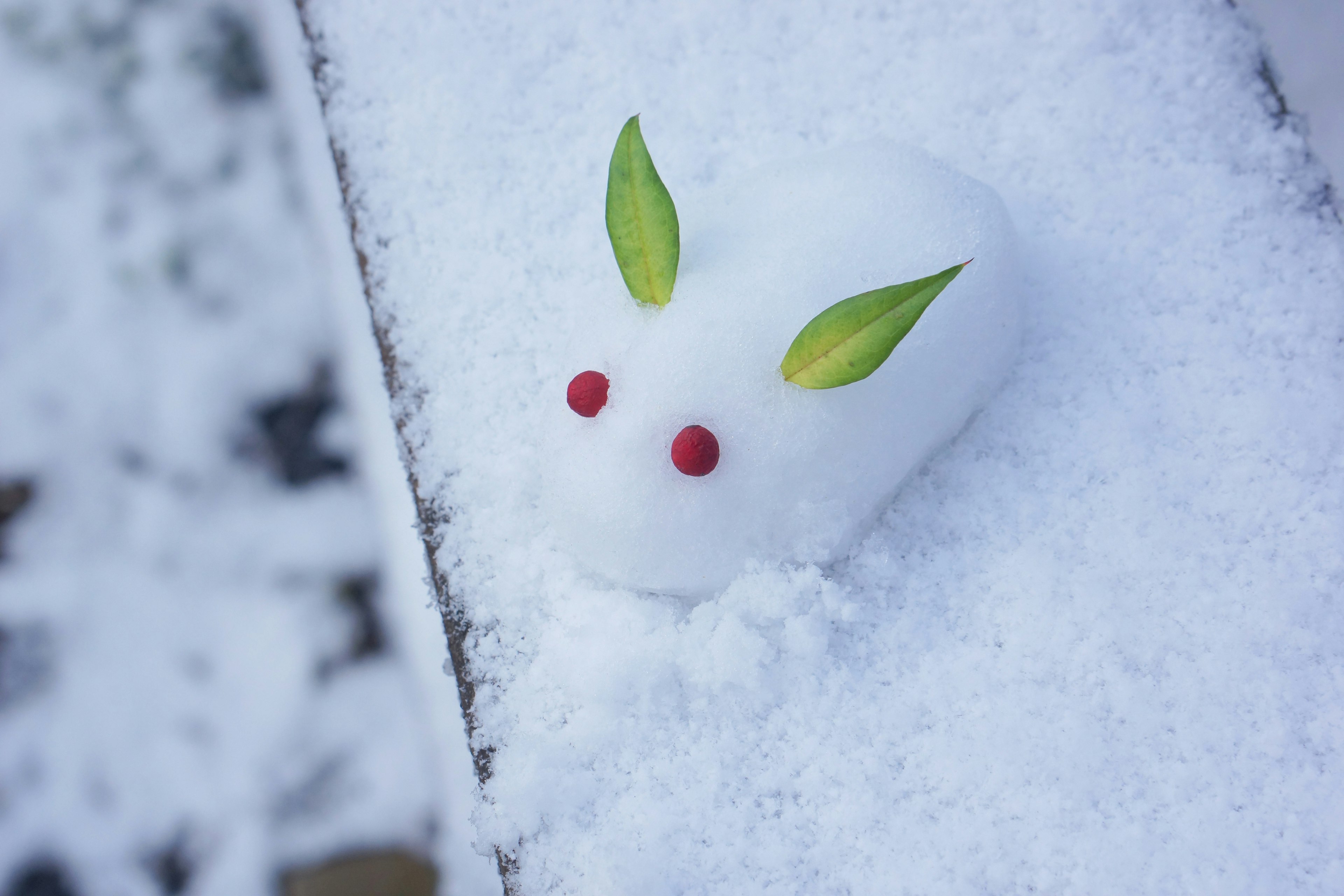 A white bunny-shaped dessert on snow with red eyes and green ears