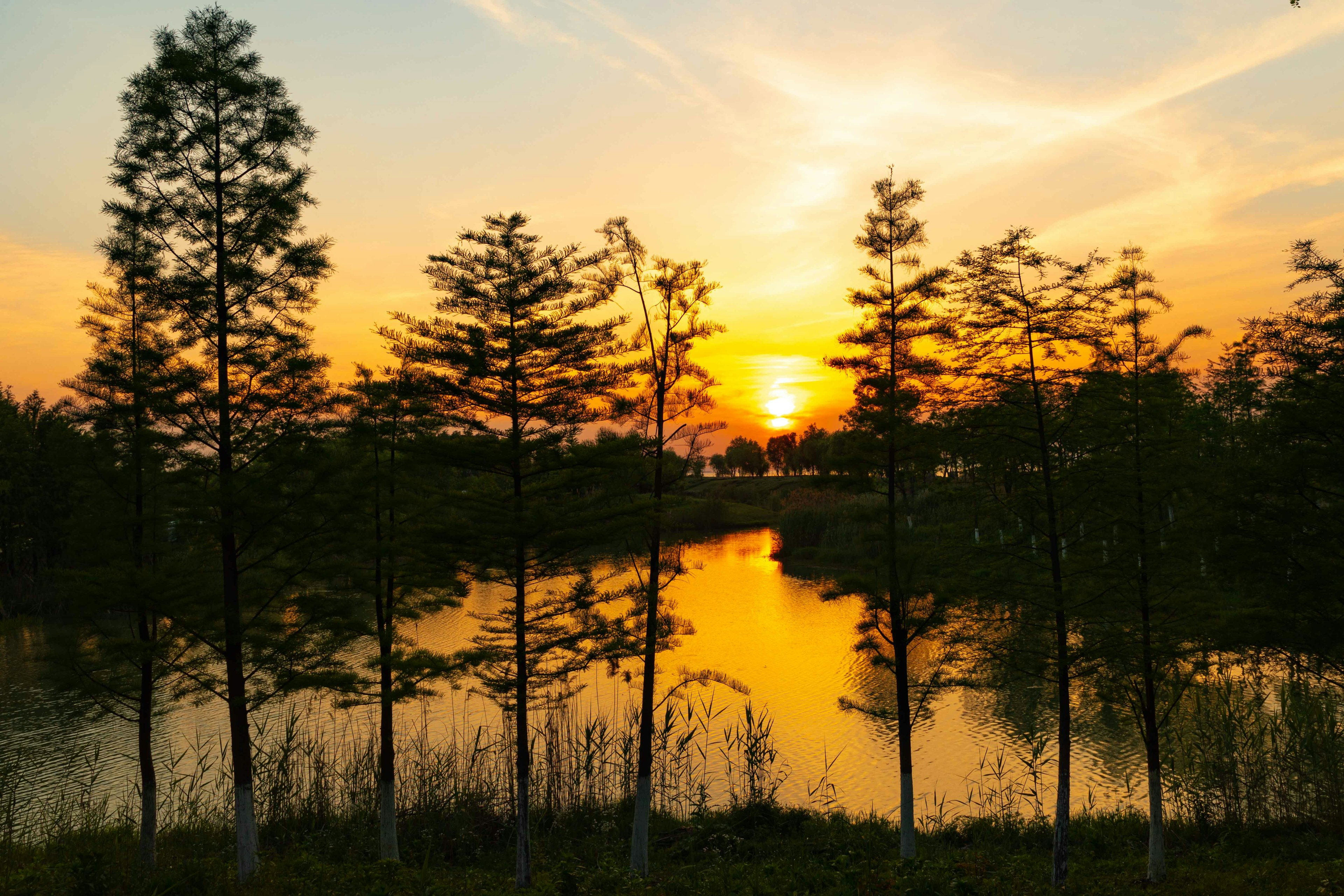 Pemandangan indah dan tenang danau yang mencerminkan matahari terbenam dan pepohonan di sekitarnya