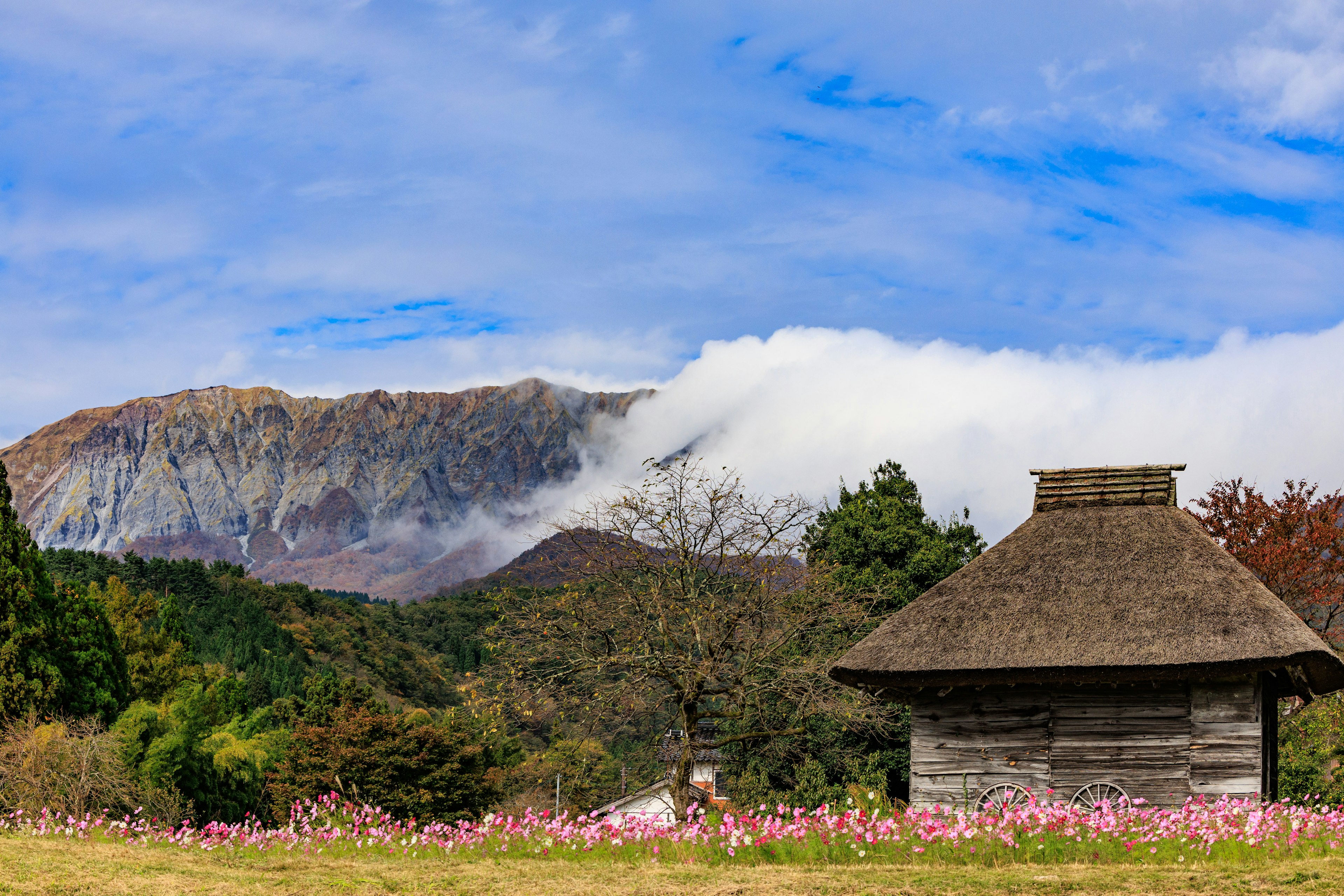 Traditionelles japanisches Haus umgeben von Blumen mit einem Berg im Hintergrund