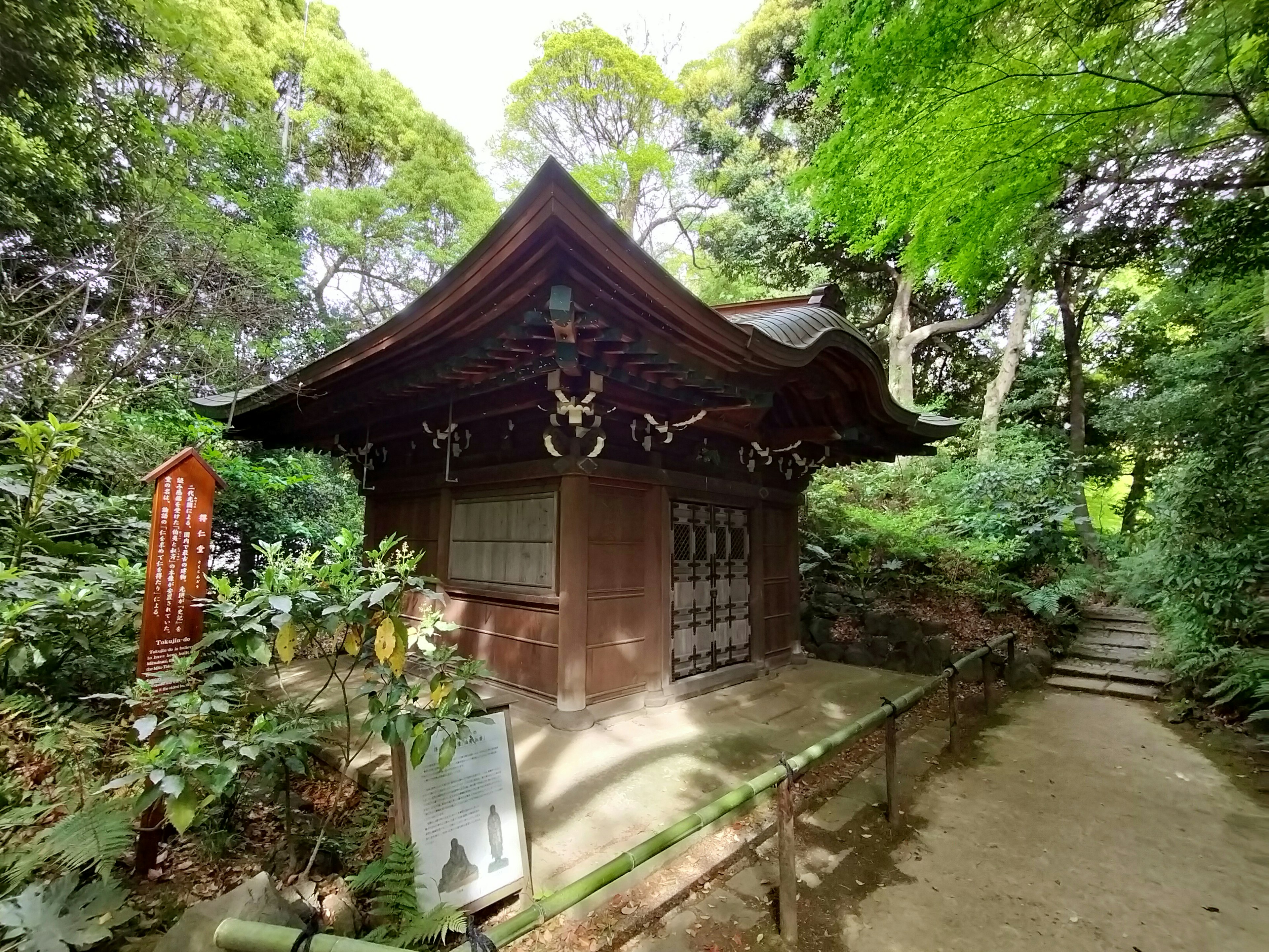 被郁郁葱葱的绿色环绕的小神社建筑