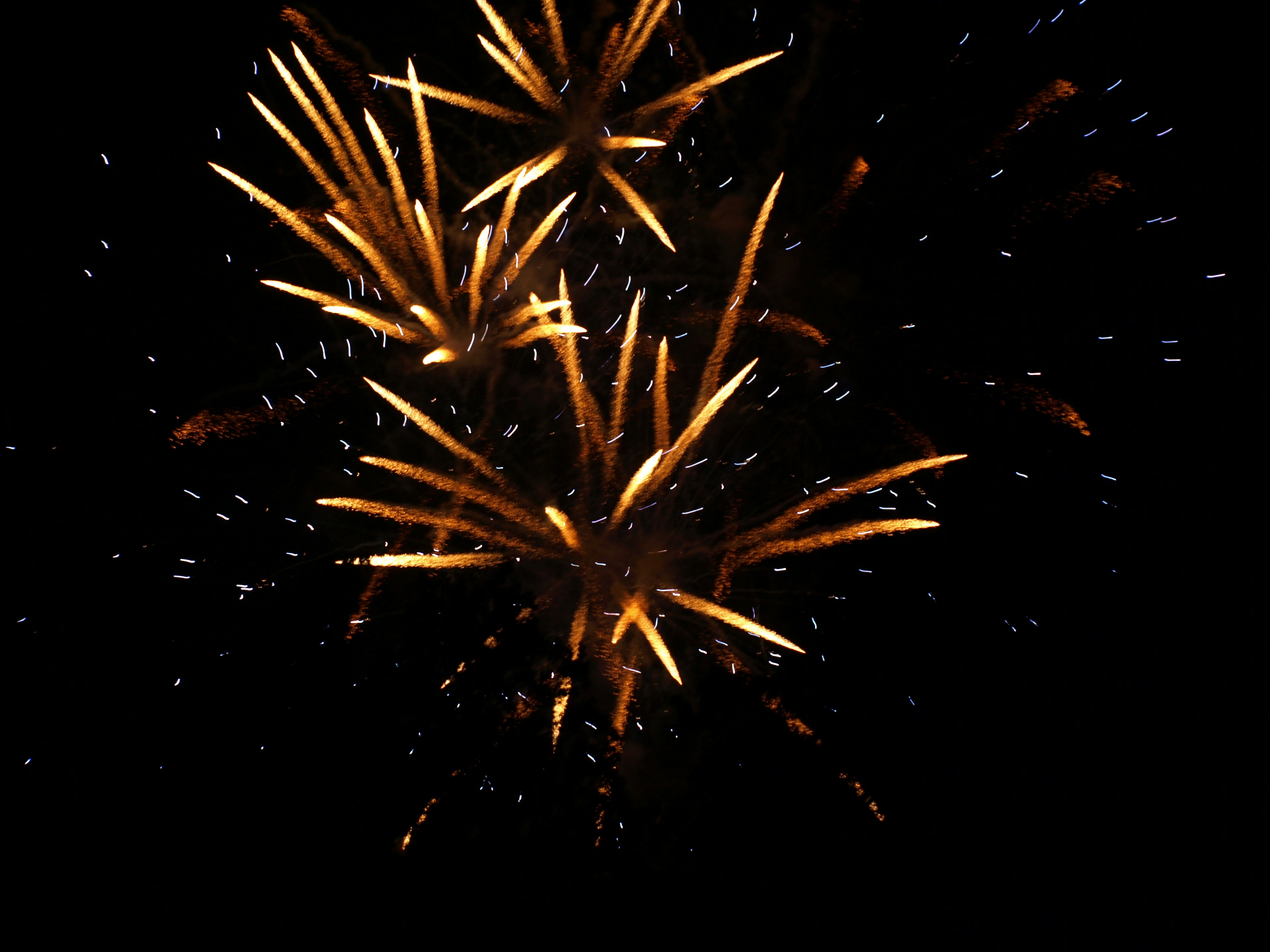 Beautiful explosion of fireworks in the night sky