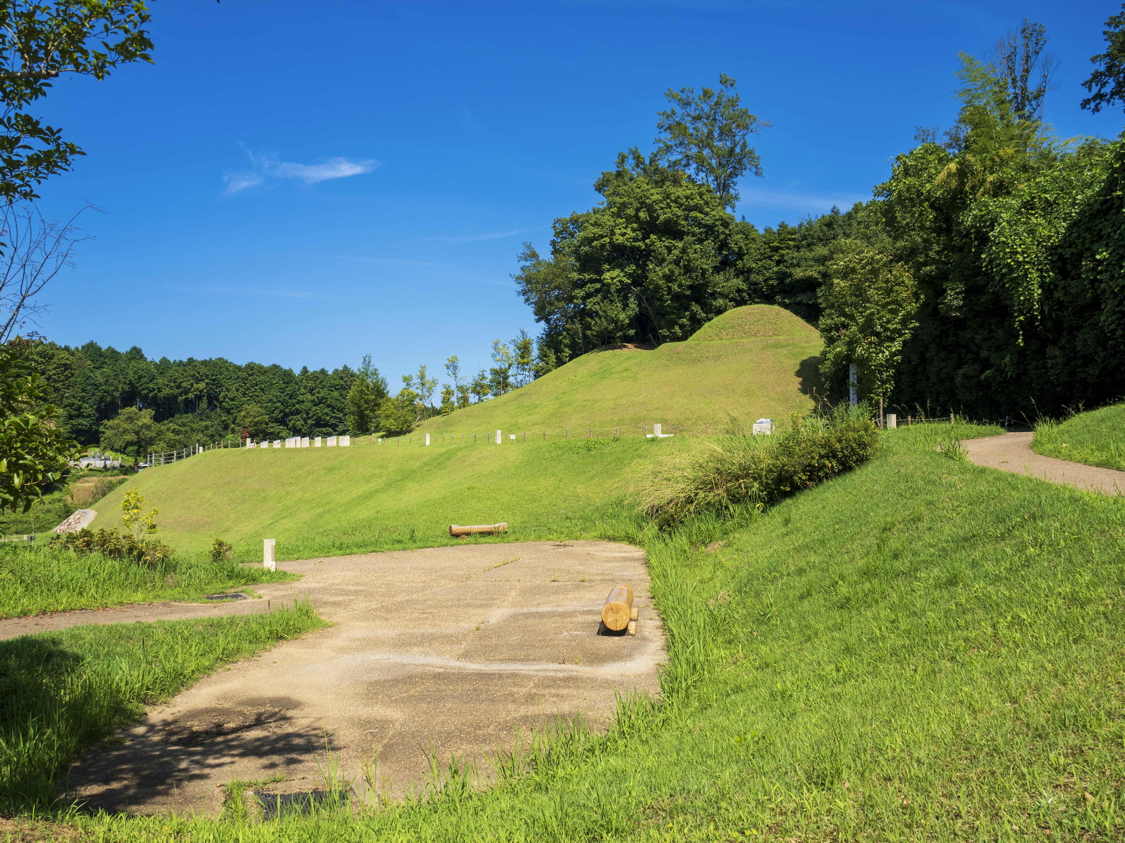 蓝天下绿色丘陵的风景，配有步道和草地