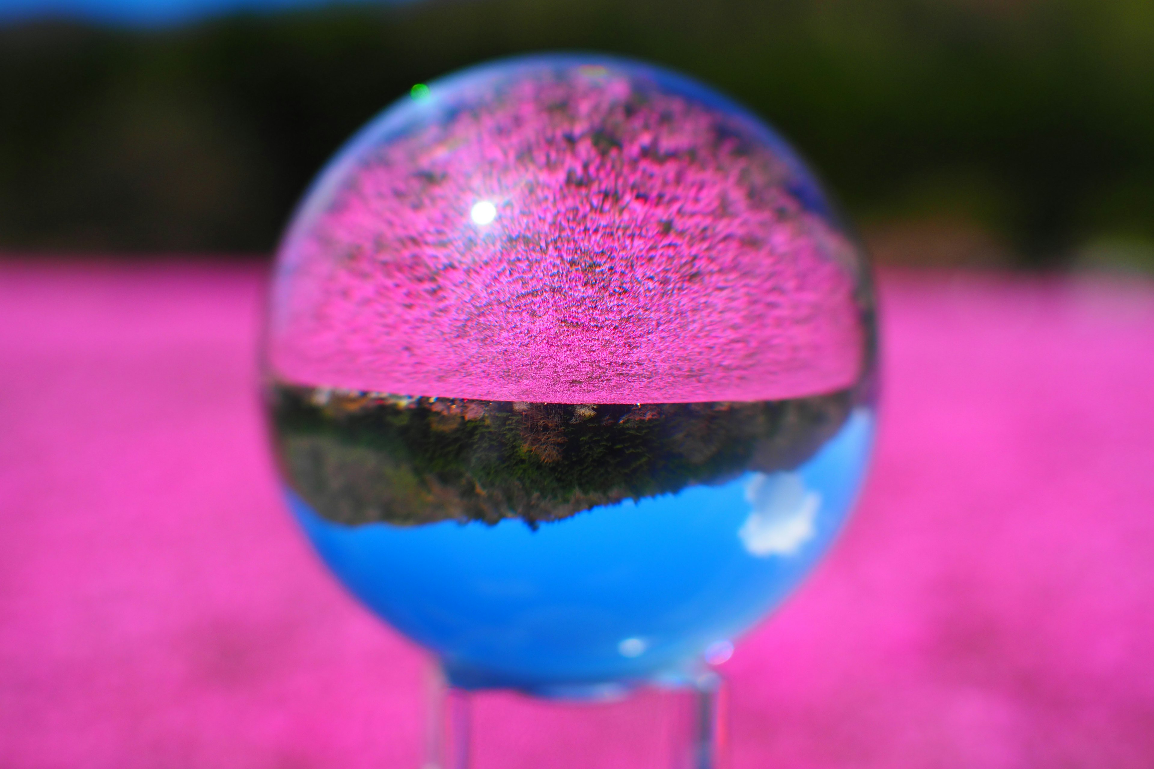 Una esfera de vidrio que refleja un cielo azul y montañas verdes con un campo de flores rosas