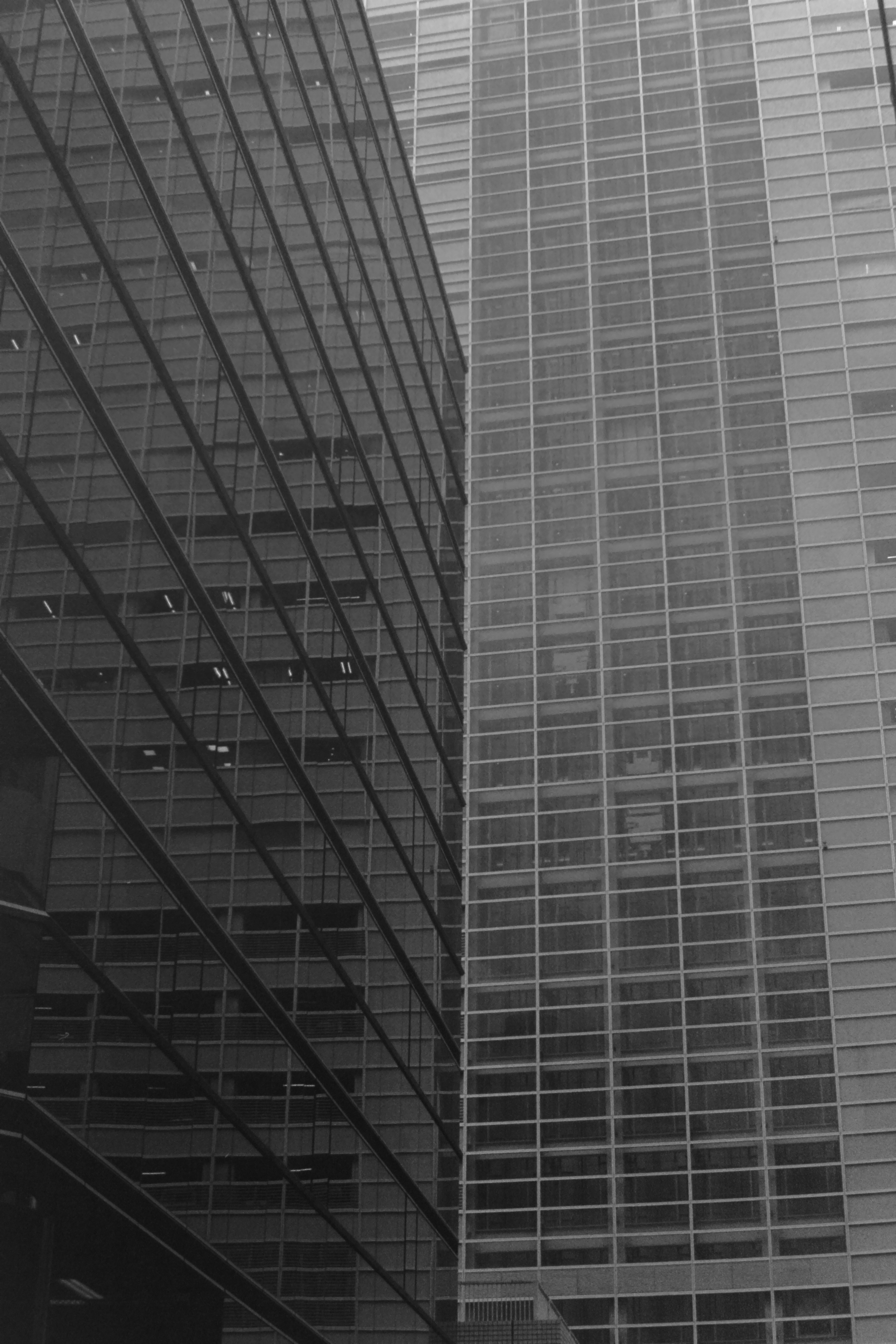 Vertical view of modern skyscrapers with glass facades