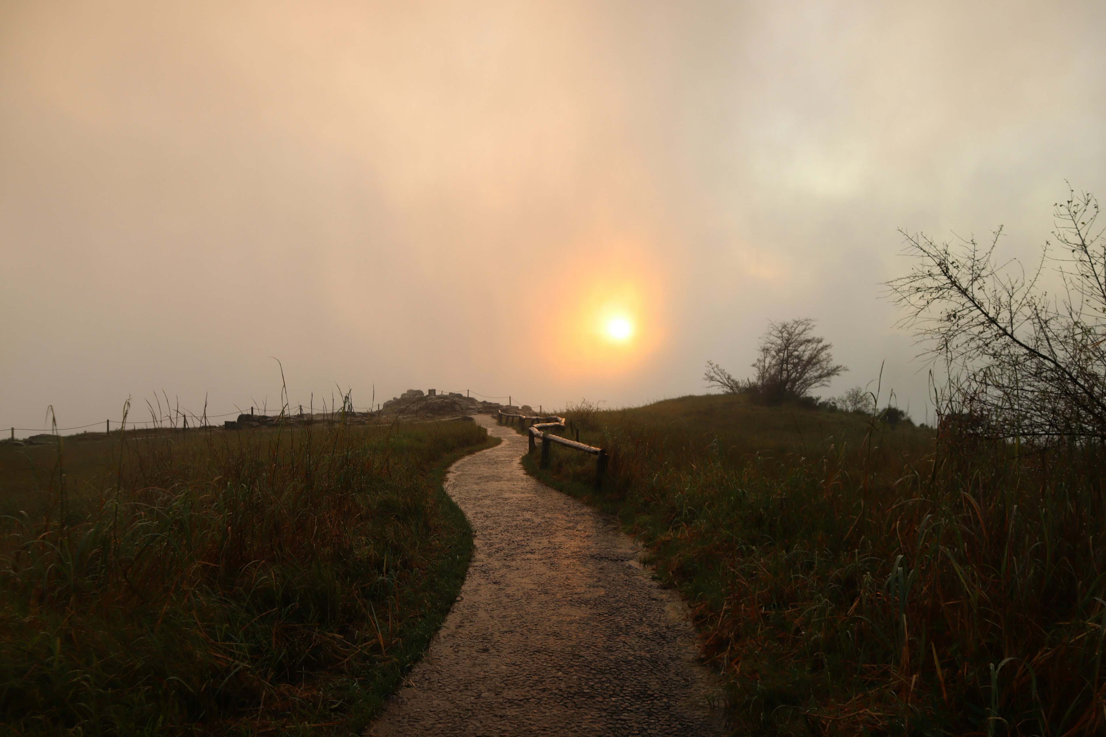 Sentier à travers la brume avec un coucher de soleil en arrière-plan