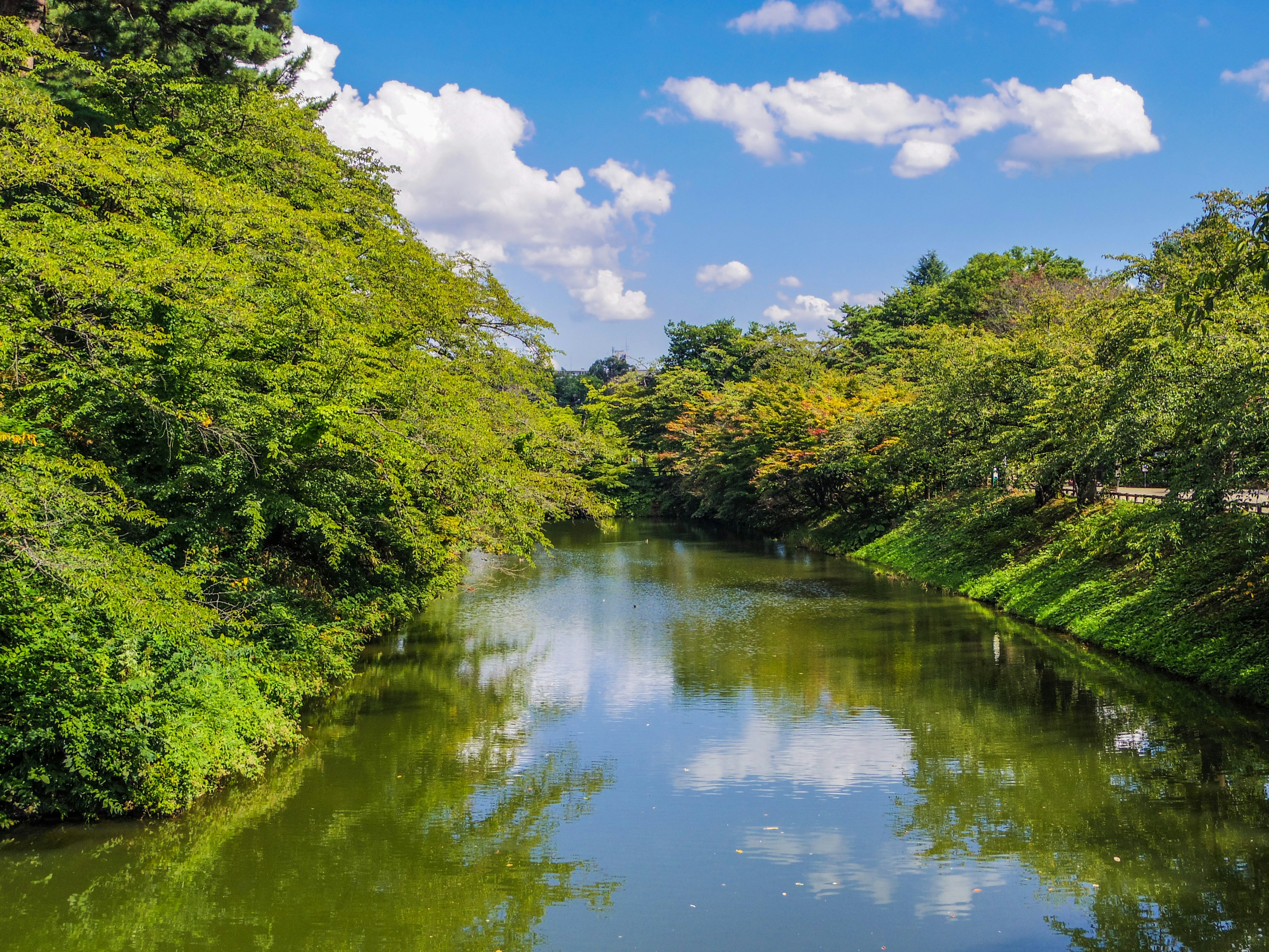 Ruhiger Fluss umgeben von üppigem Grün und blauem Himmel