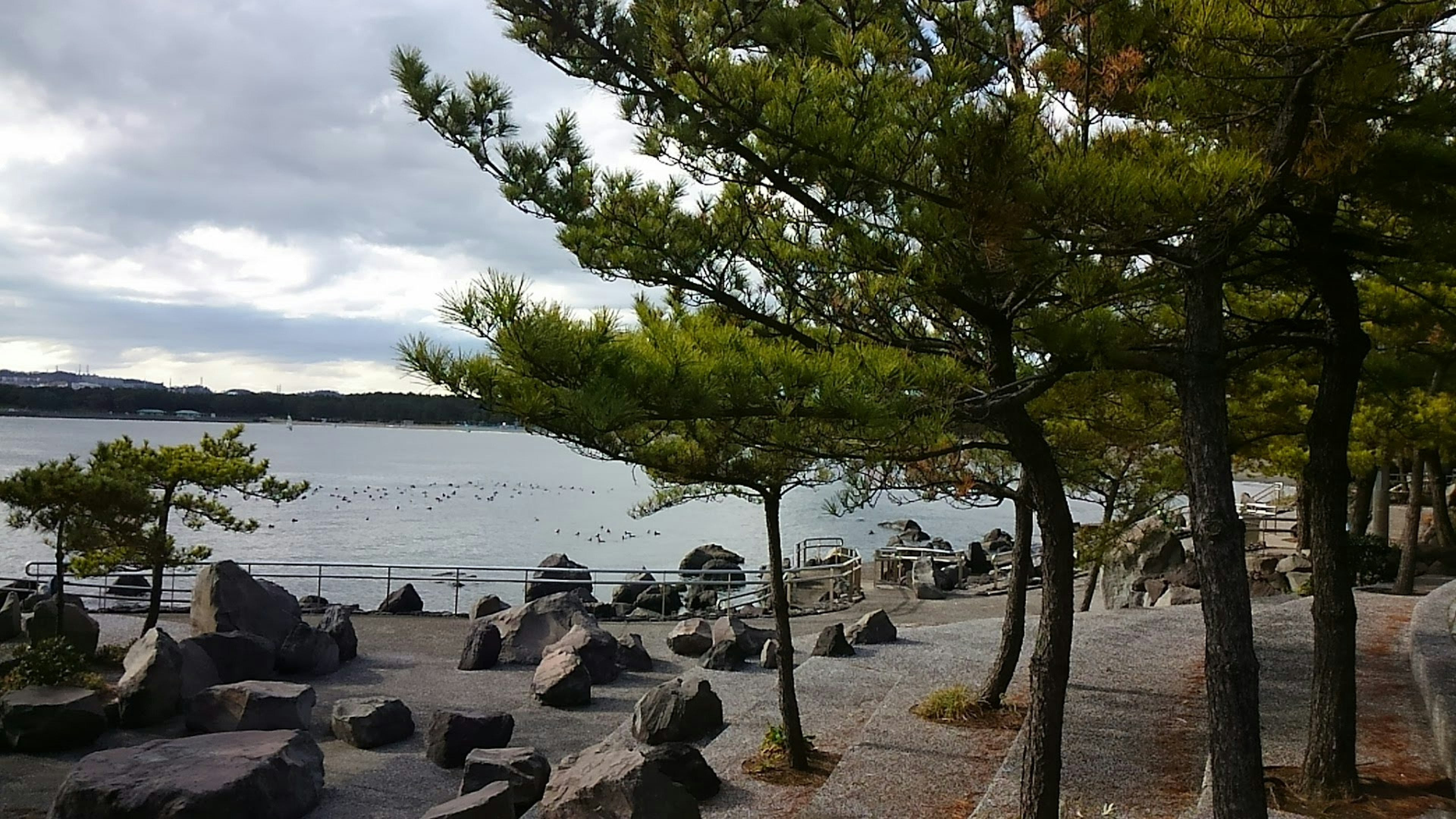 海と緑の木々が映える景色