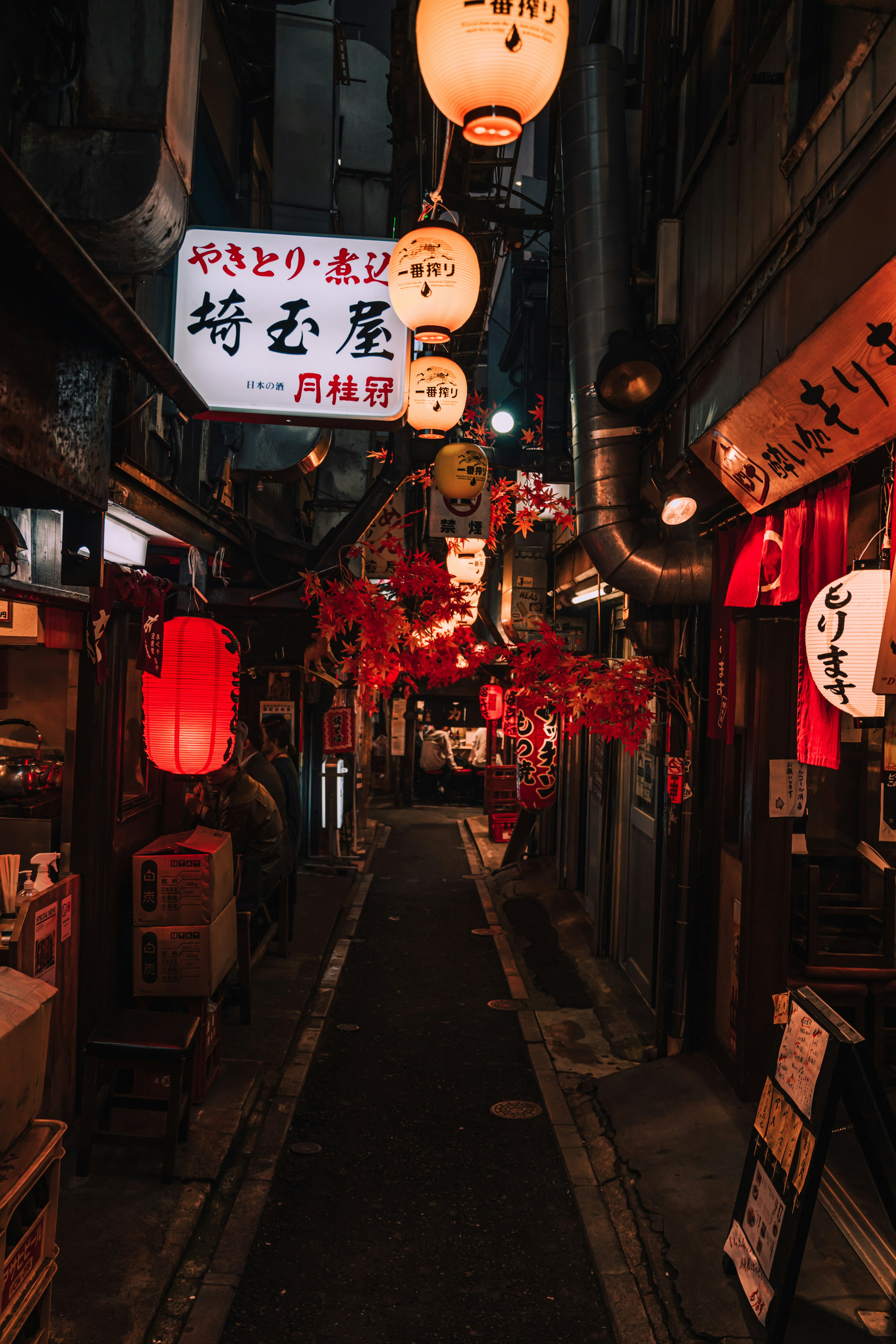 Narrow alleyway lit by lanterns and signs at night