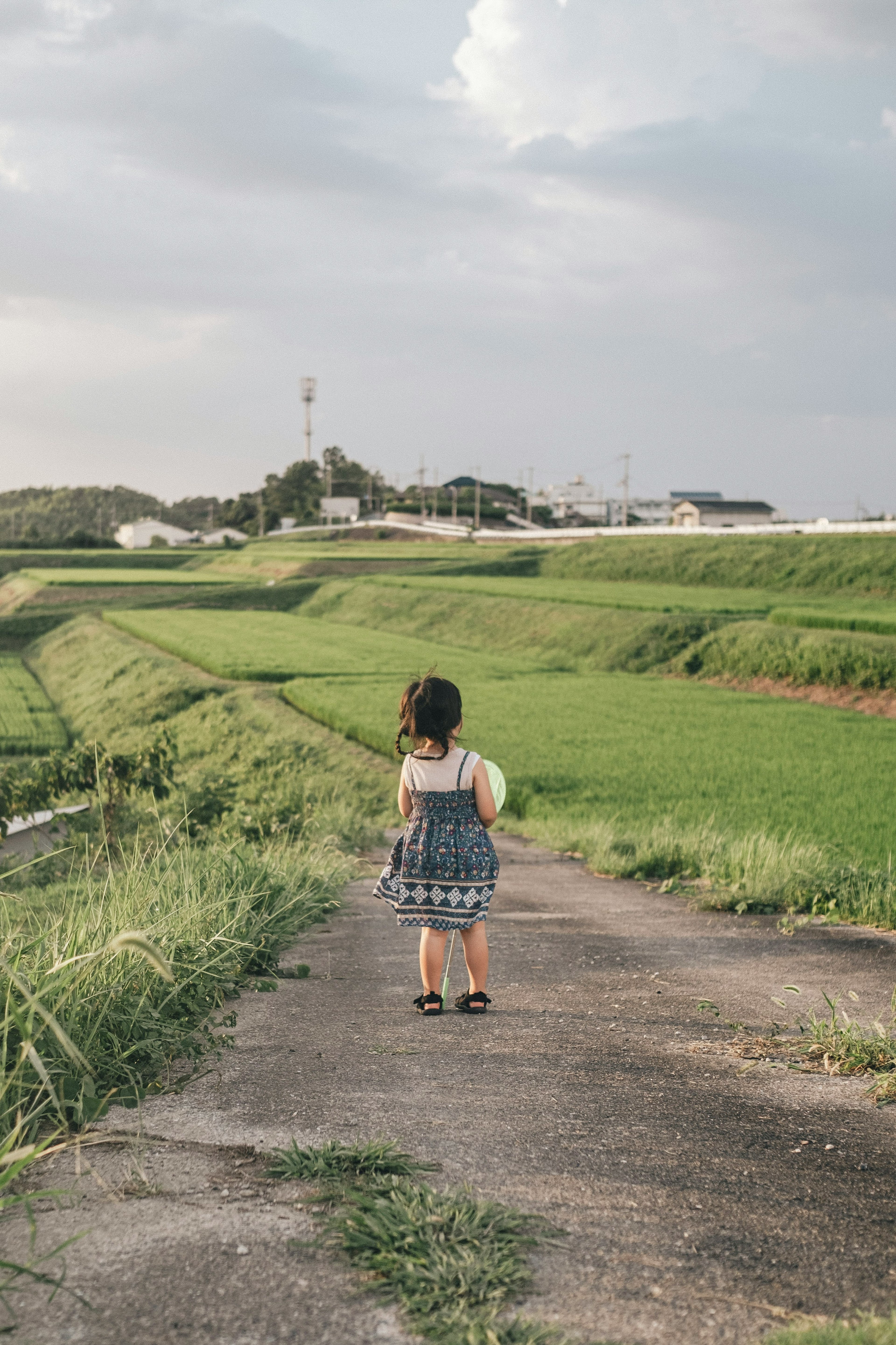 緑の田んぼを背にした子供が道を歩いている風景