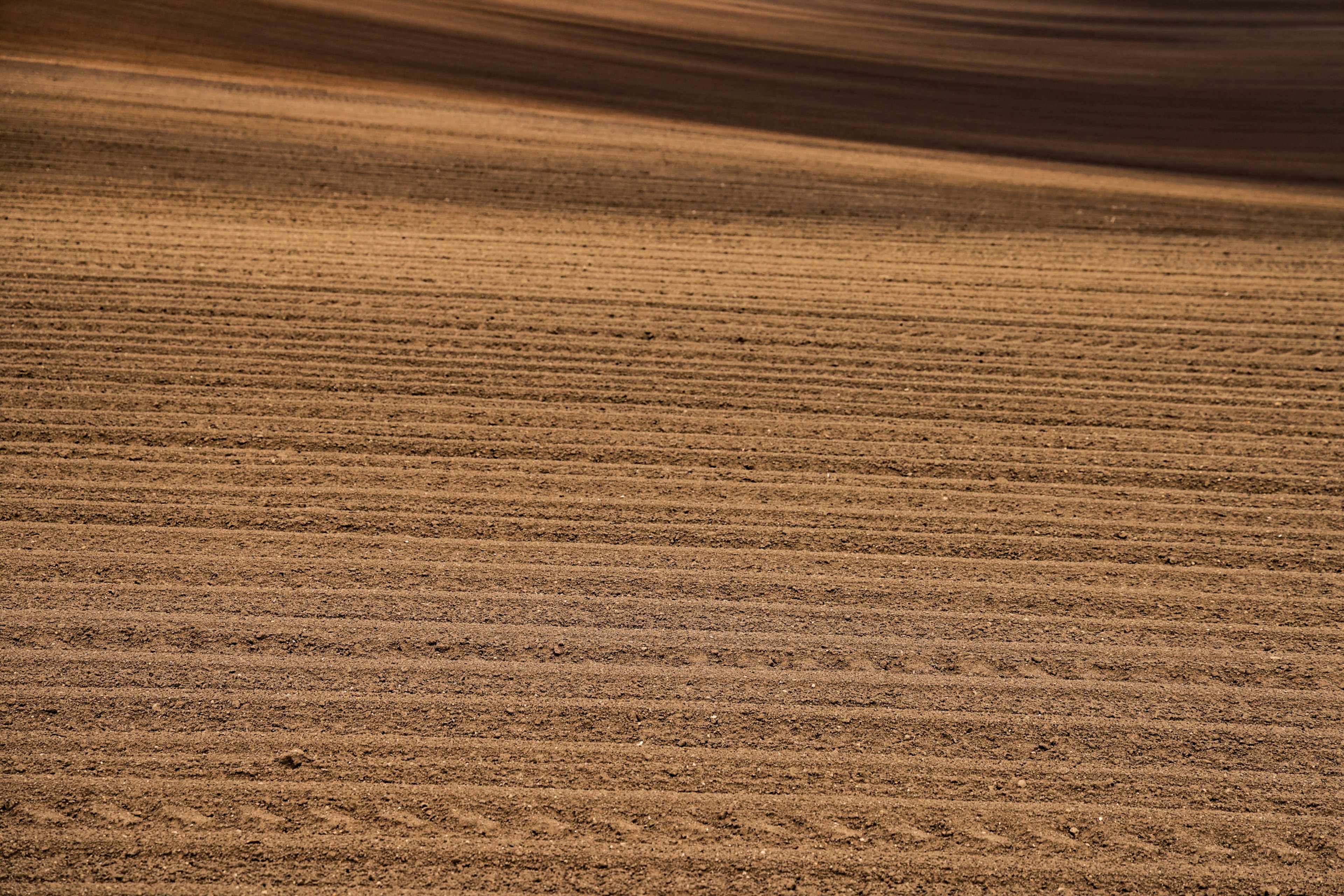 Pattern of cultivated soil with tire tracks in a dry field