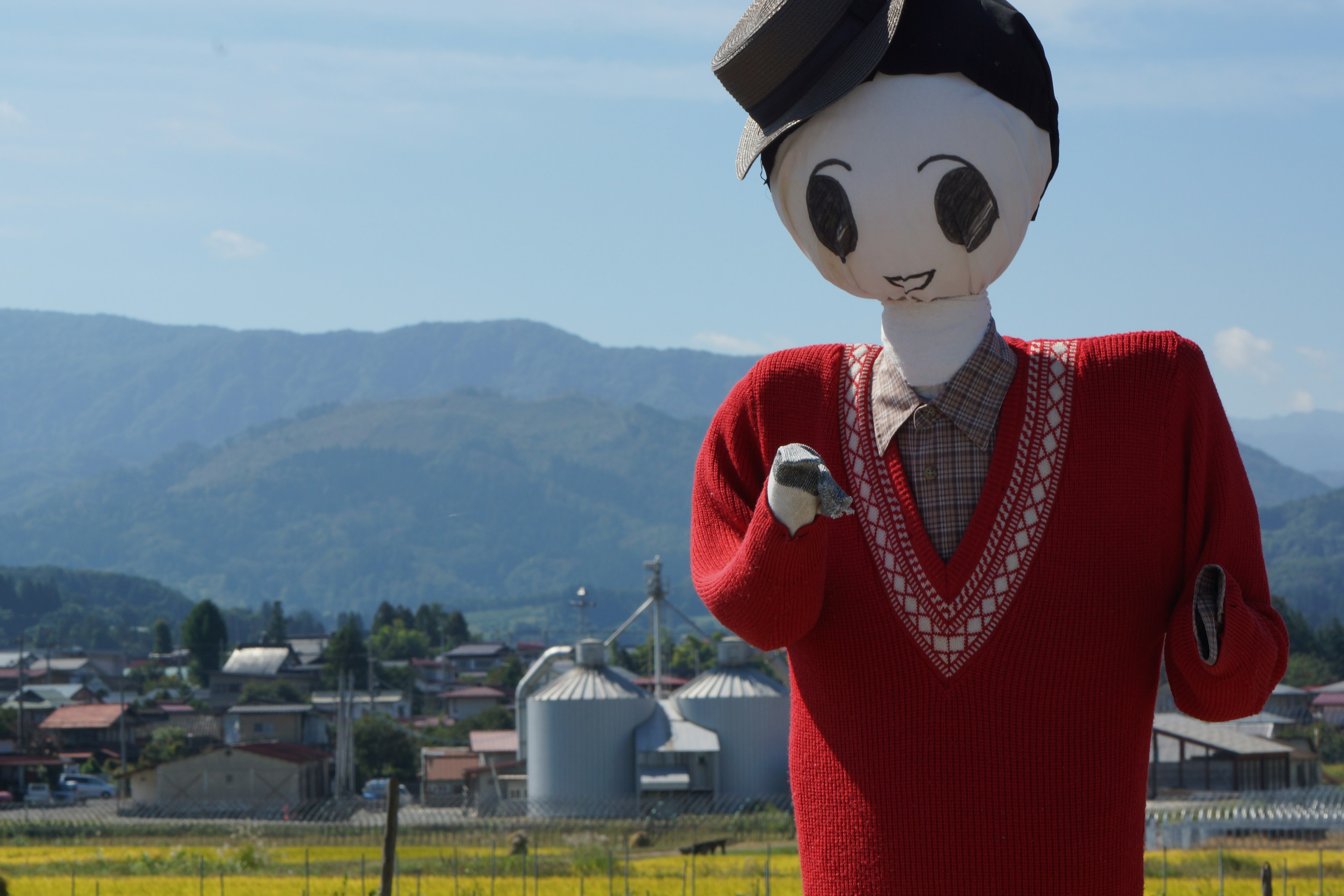 Eine Vogelscheuche in rotem Pullover steht vor einer Landwirtschaftslandschaft