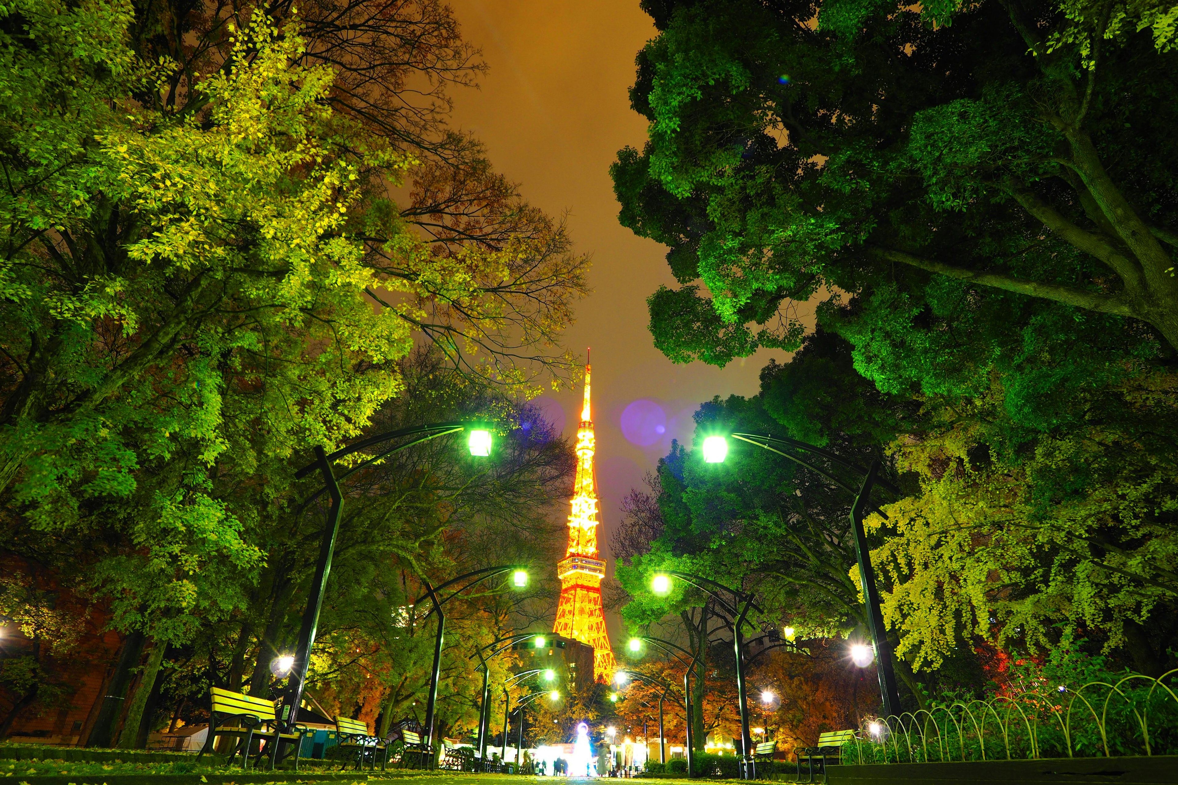 Pemandangan malam taman dengan Menara Tokyo di latar belakang Pohon hijau dan lampu jalan di sepanjang jalan