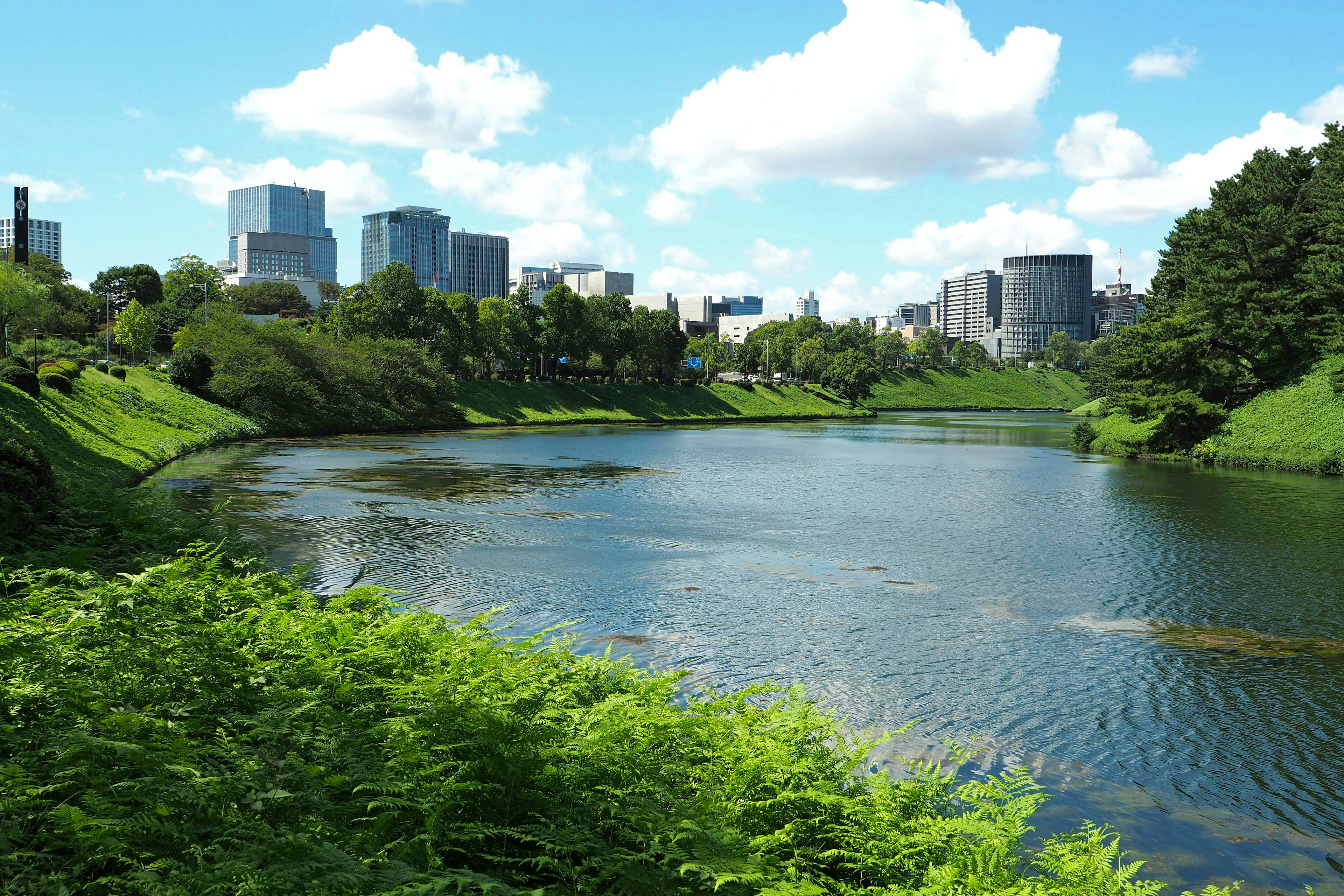 Parco lussureggiante con lago e skyline