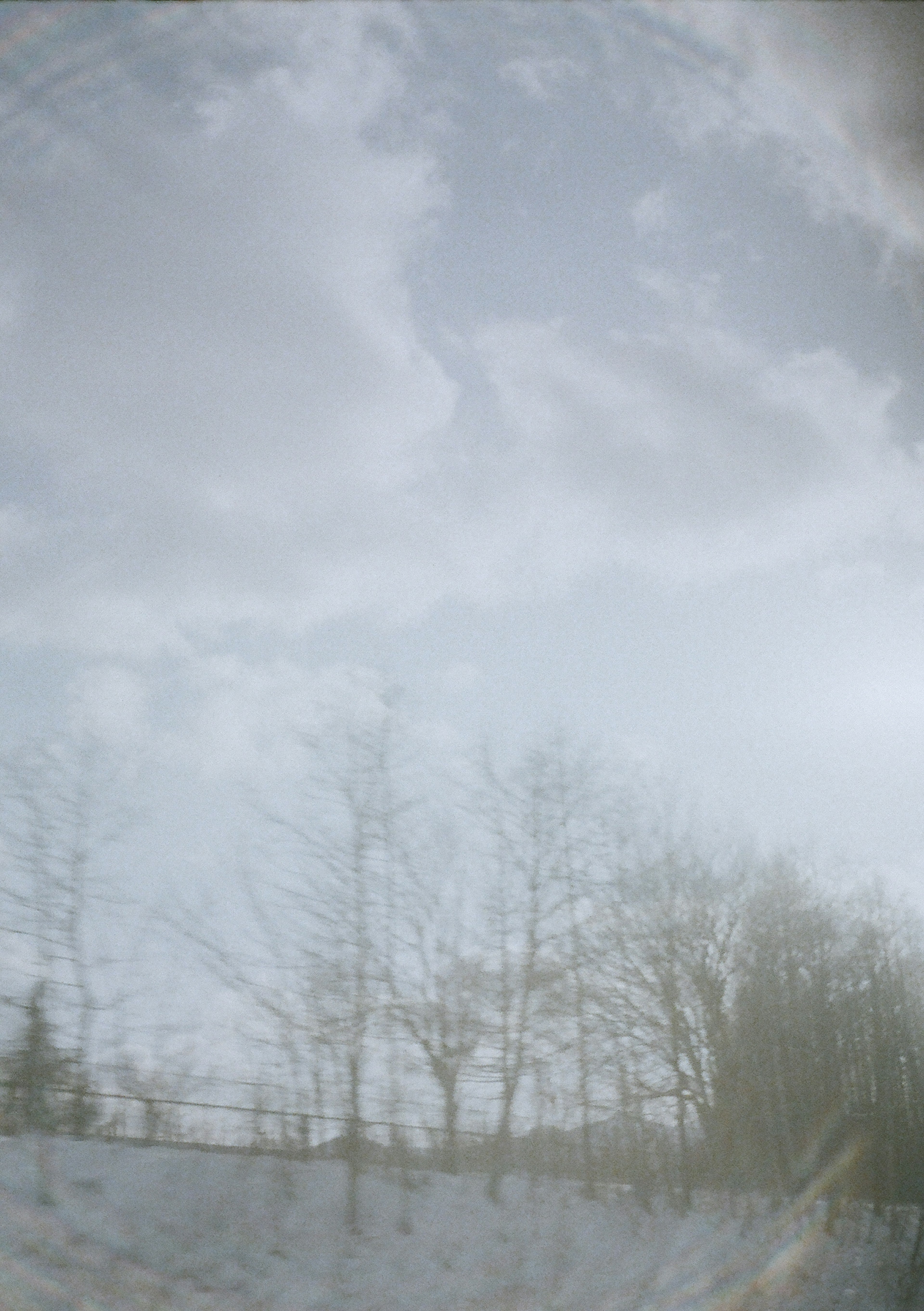 Bare trees under a cloudy sky with a snowy ground