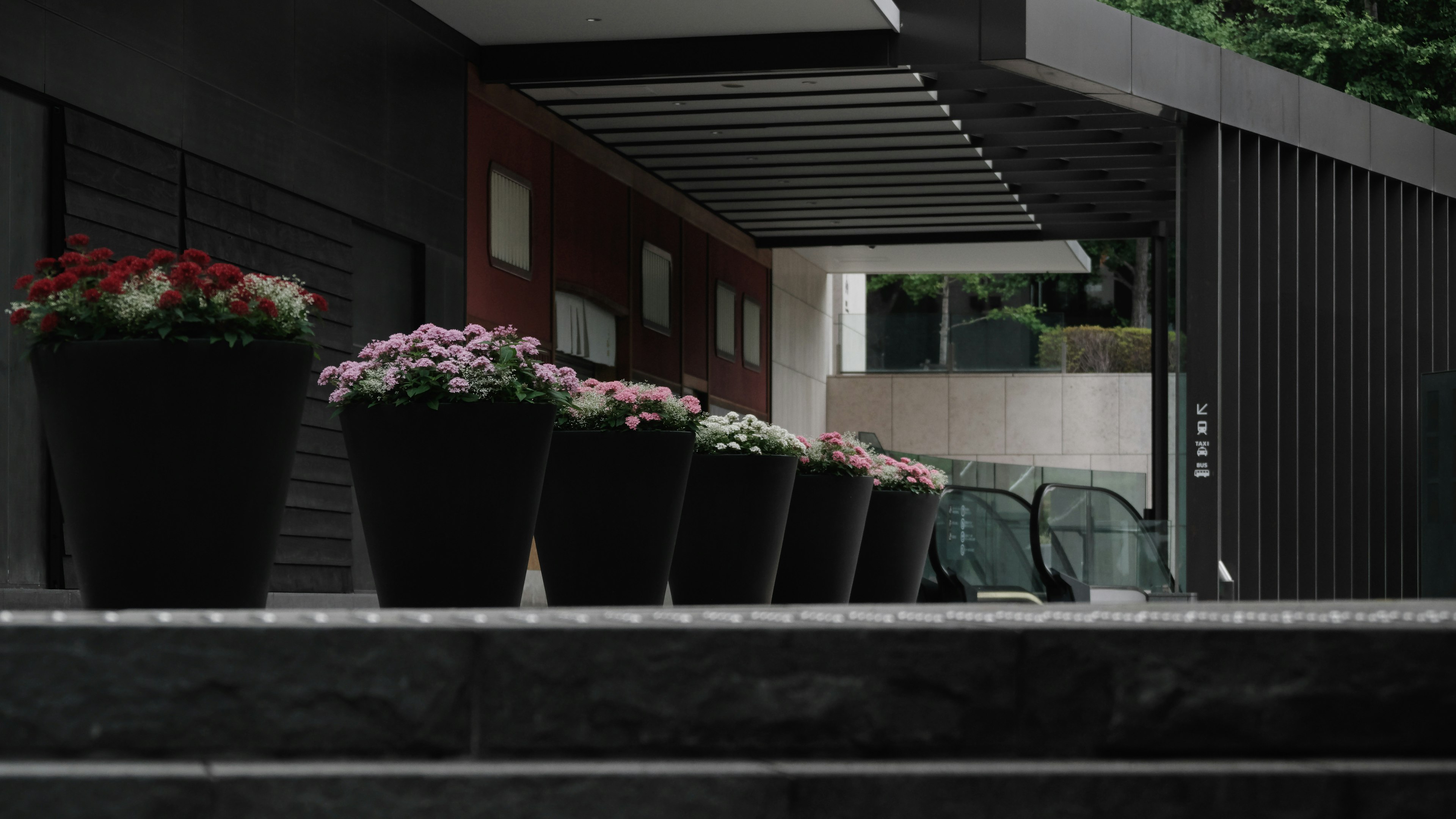 Macetas de flores alineadas en escaleras con una fachada de edificio moderno