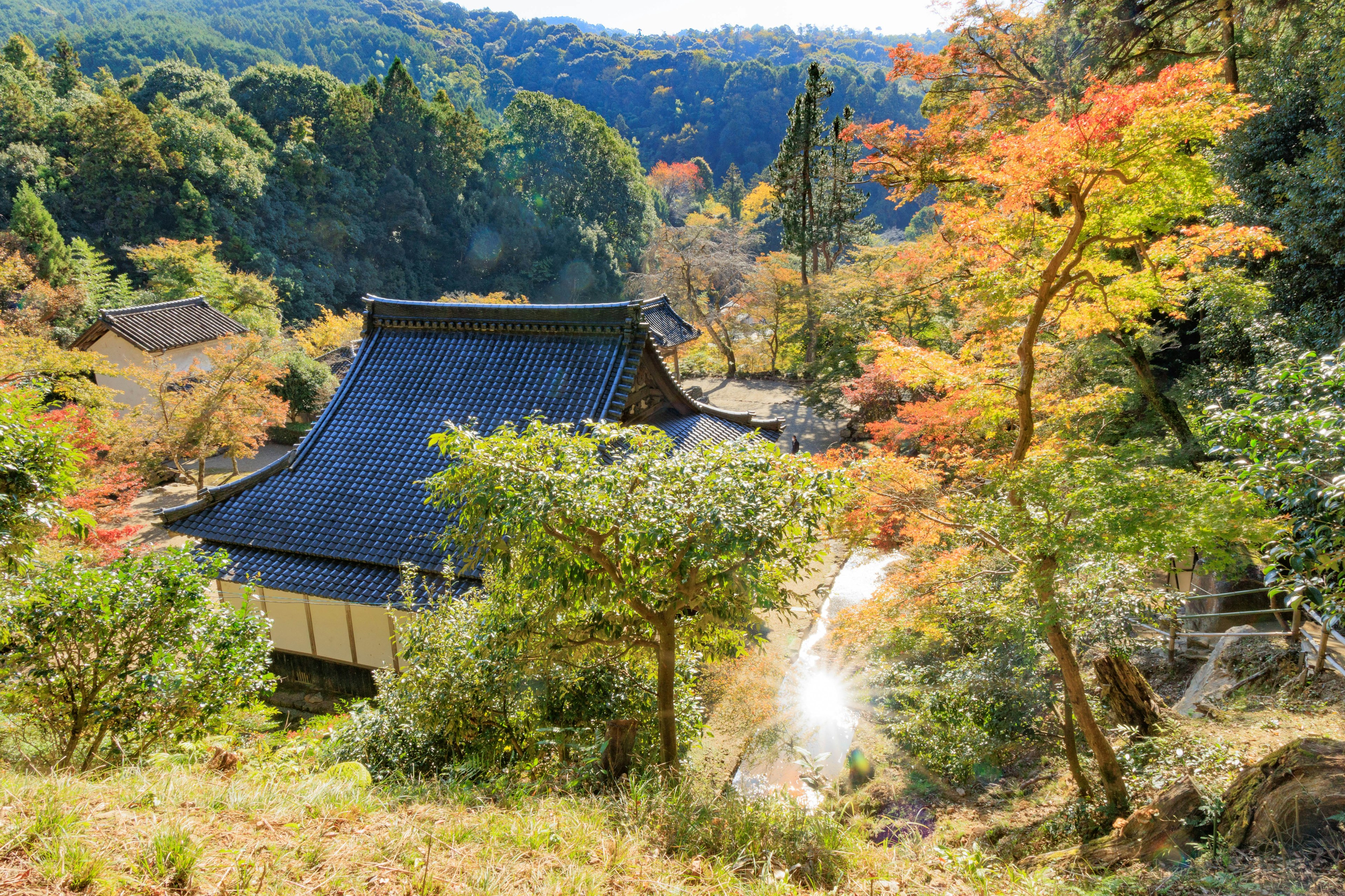 Un templo japonés tradicional rodeado de follaje otoñal y montañas exuberantes