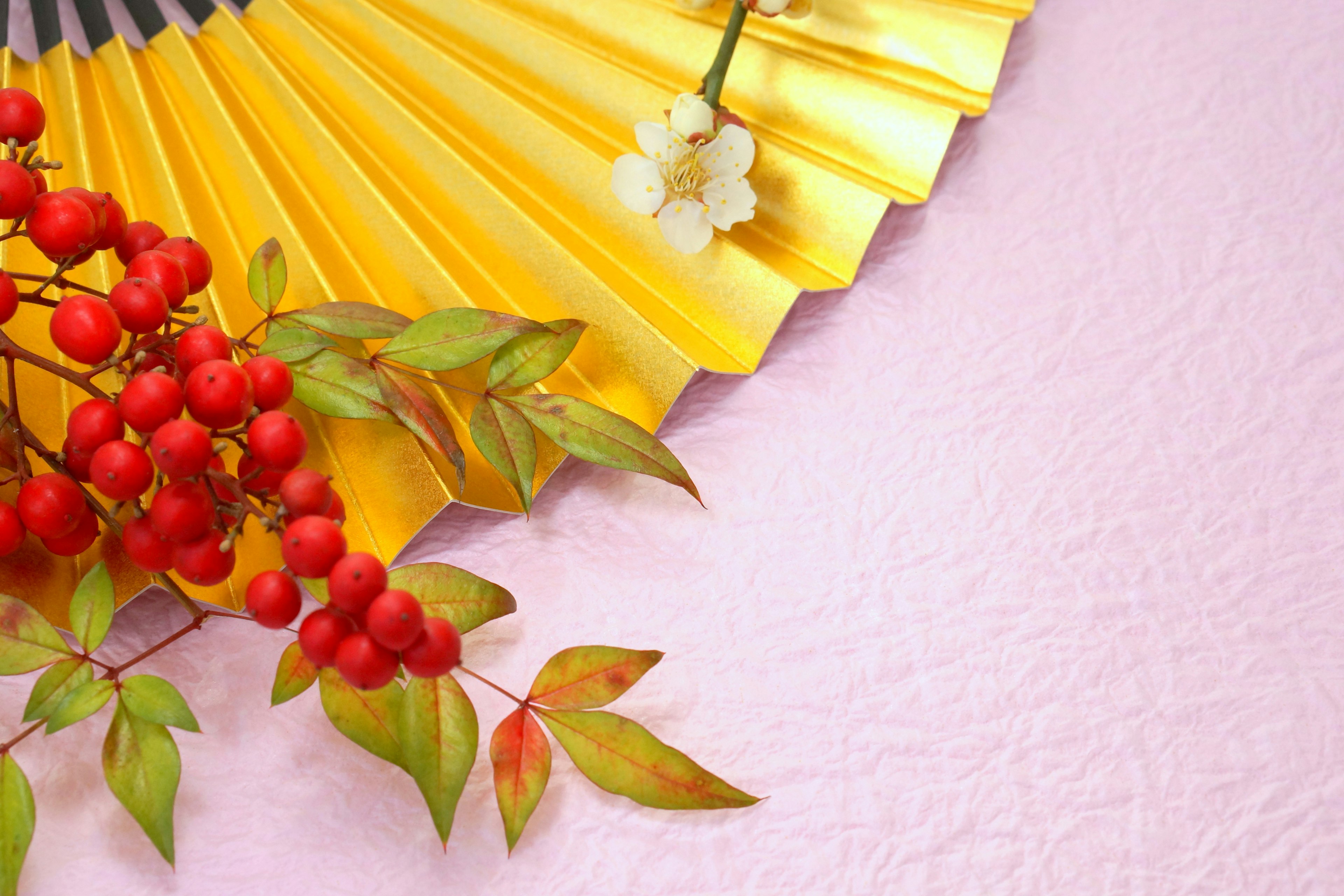 Éventail jaune avec des baies rouges et des fleurs blanches sur un fond rose