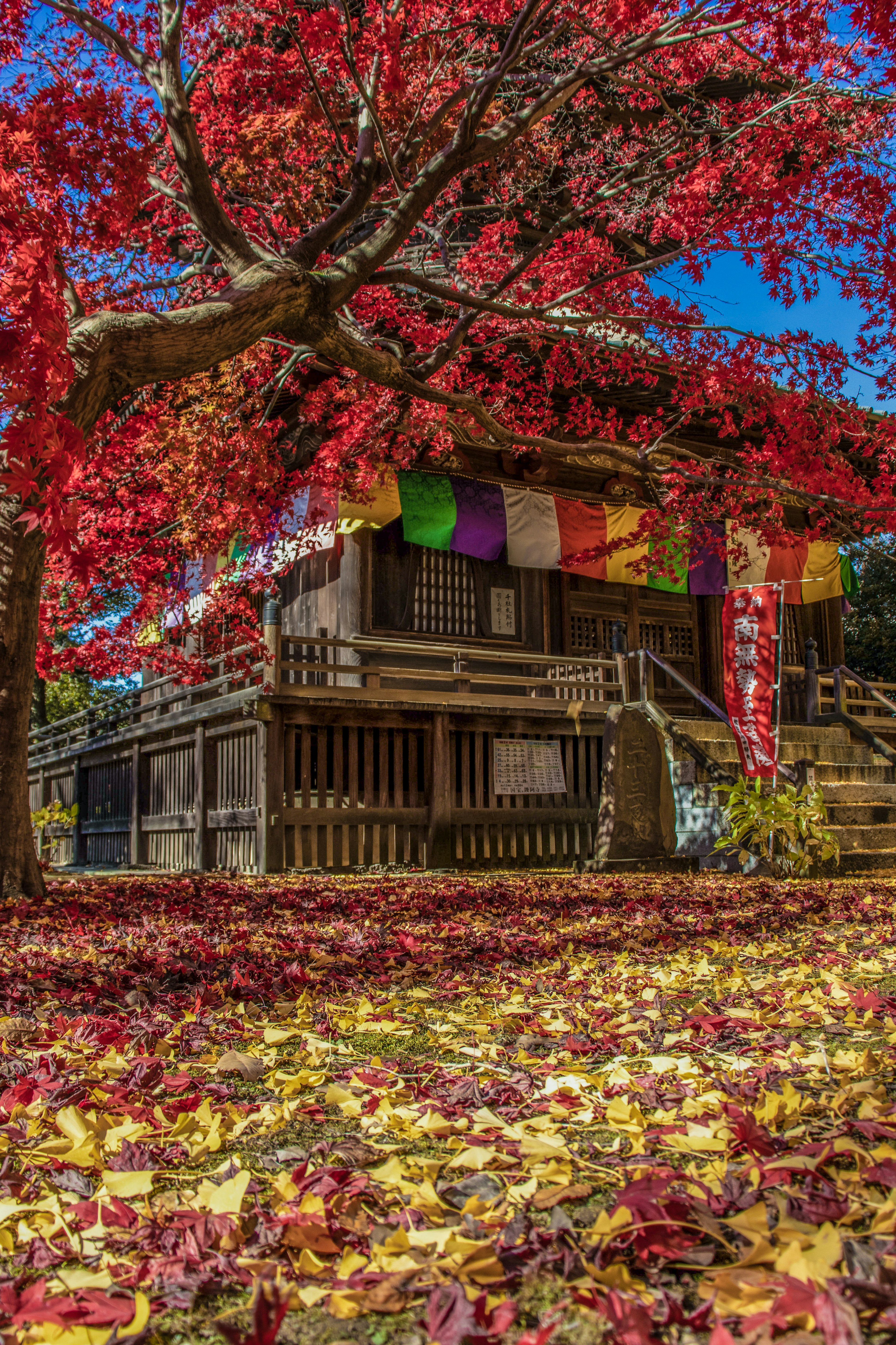 Wooden building surrounded by autumn leaves and colorful banners